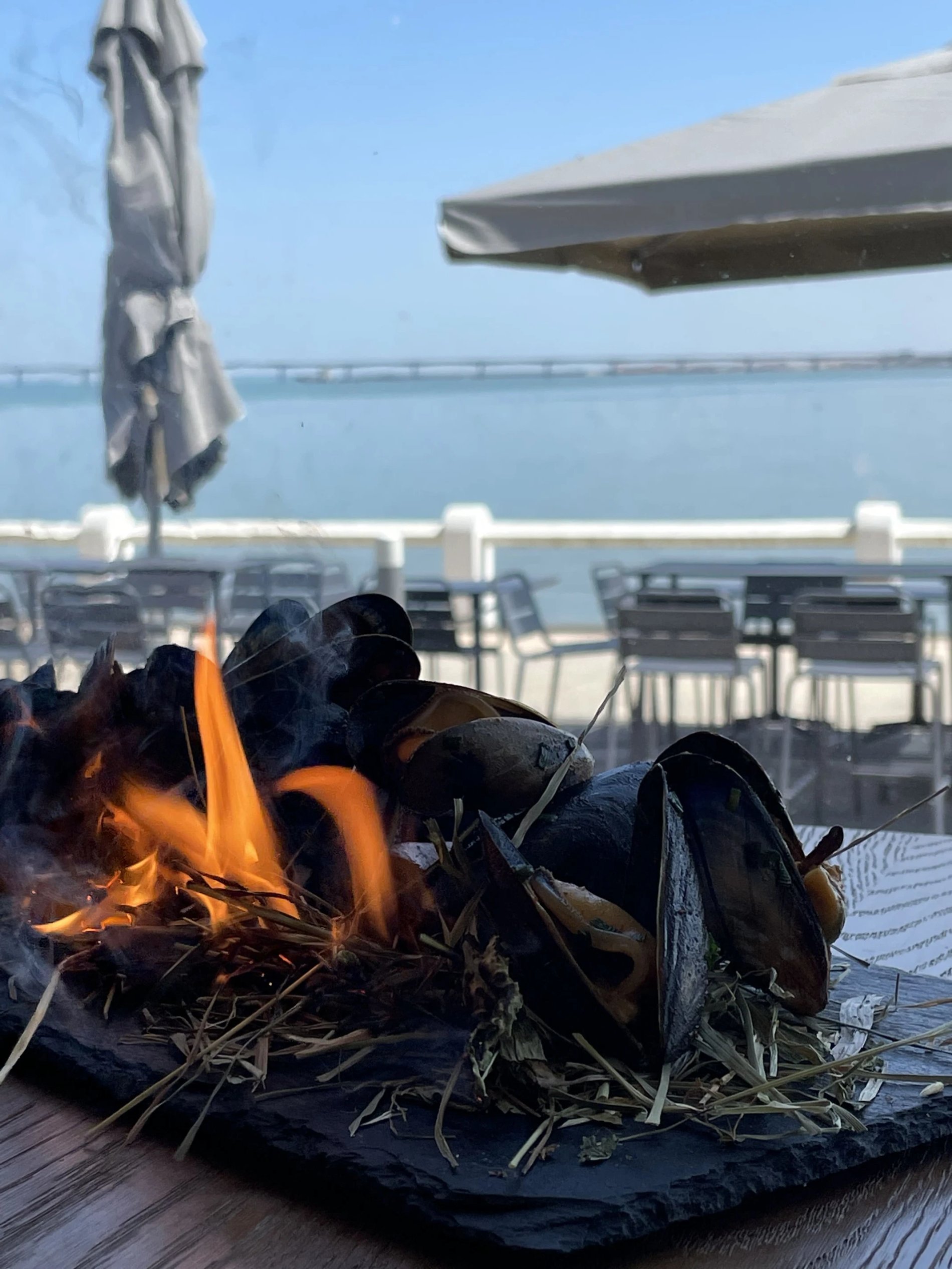 6117bcca-3477-4810-8d39-49b63c4dfee6