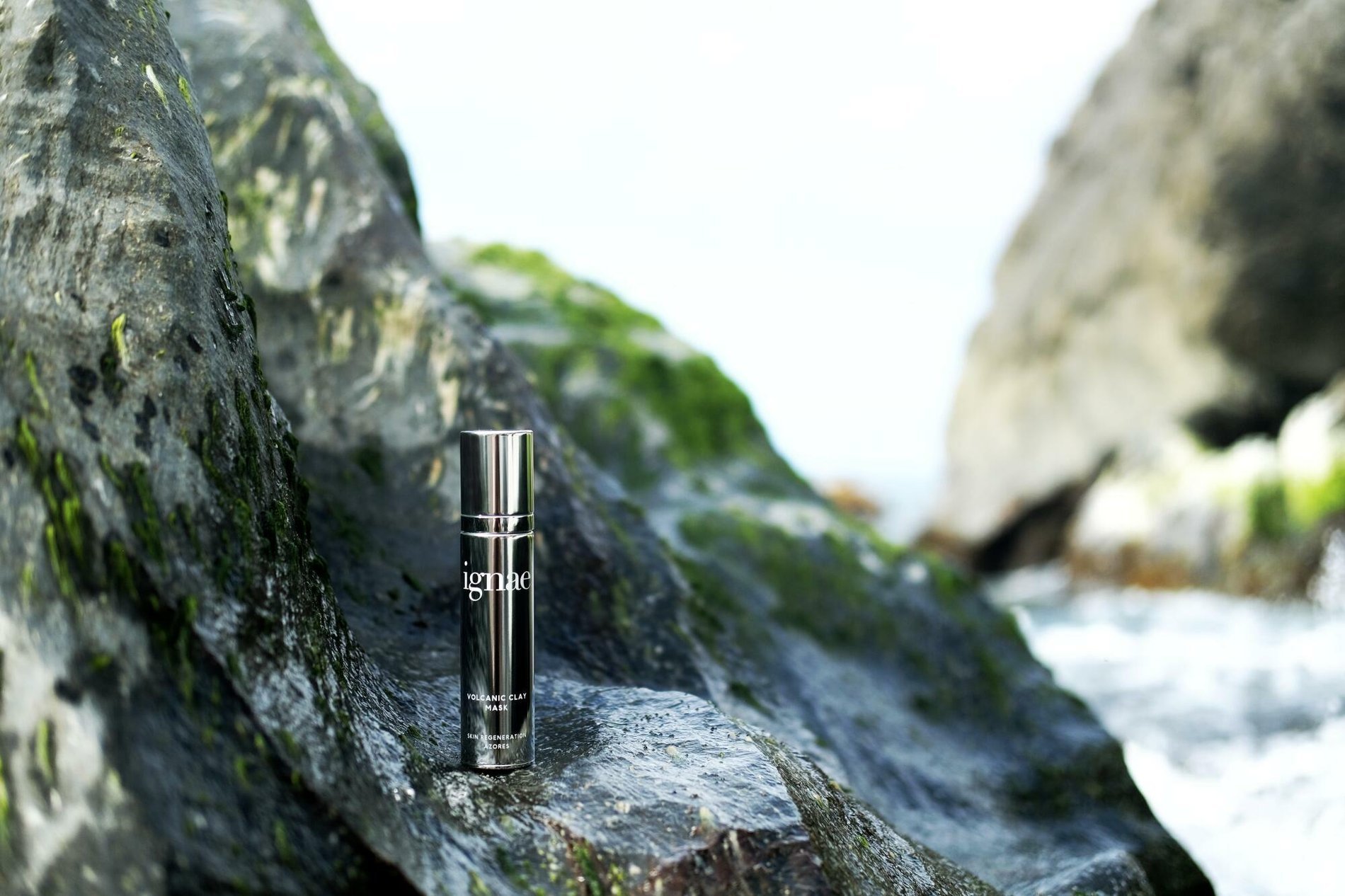 61212fb1-12fd-498e-89dd-43f768bb8035