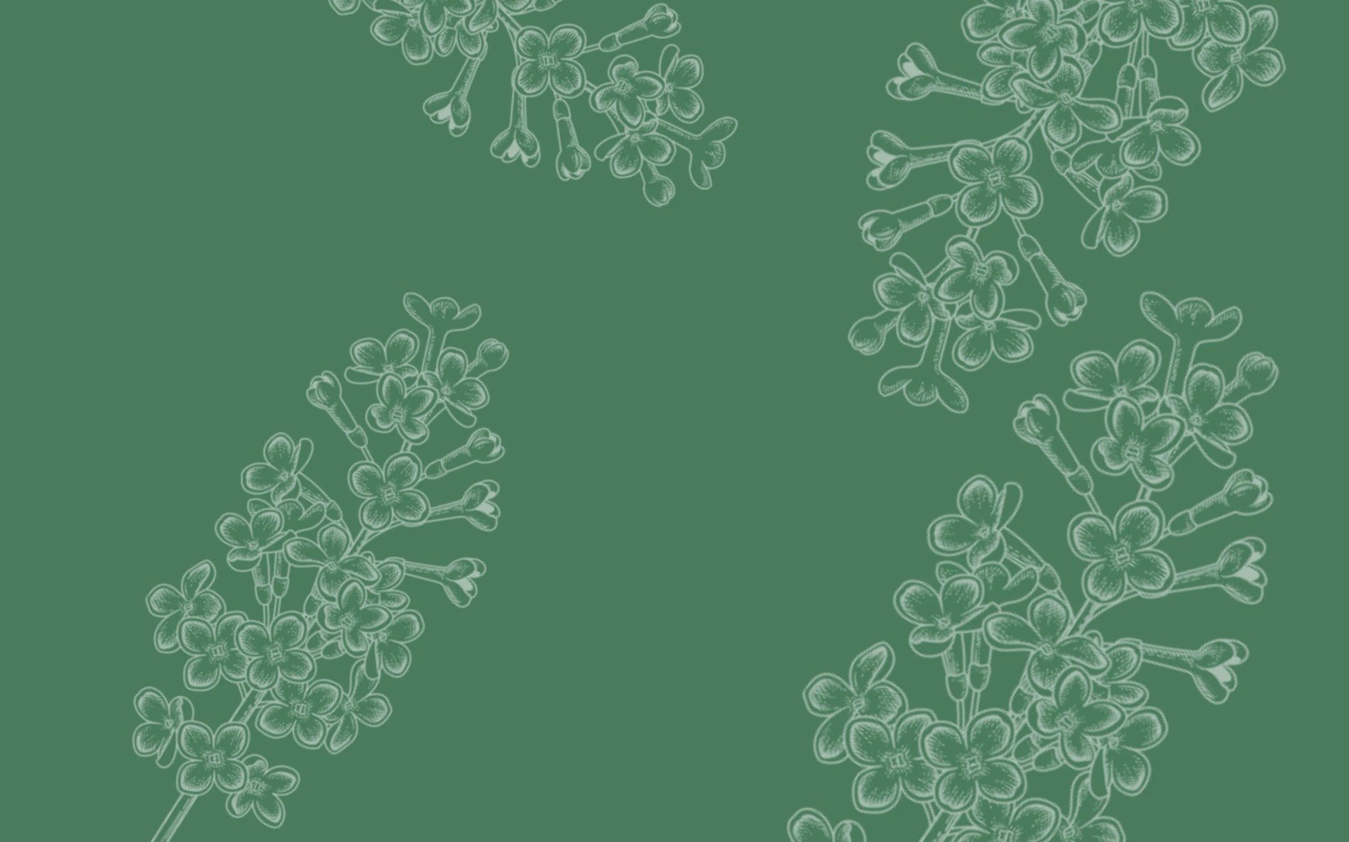 619b9cf3-96cd-4b07-9dd0-aabb20f20268