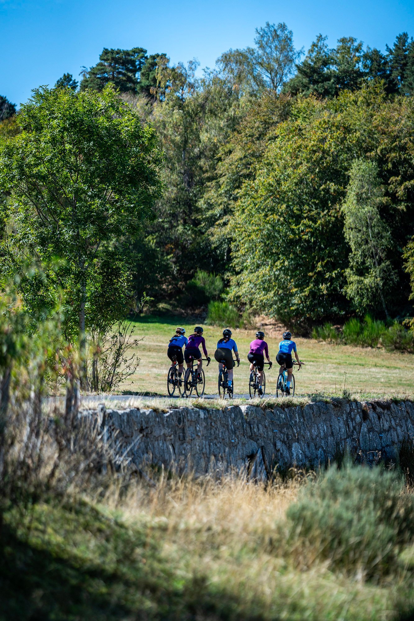 619dc7d9-cd33-4e99-be85-a46ec7bd93ac