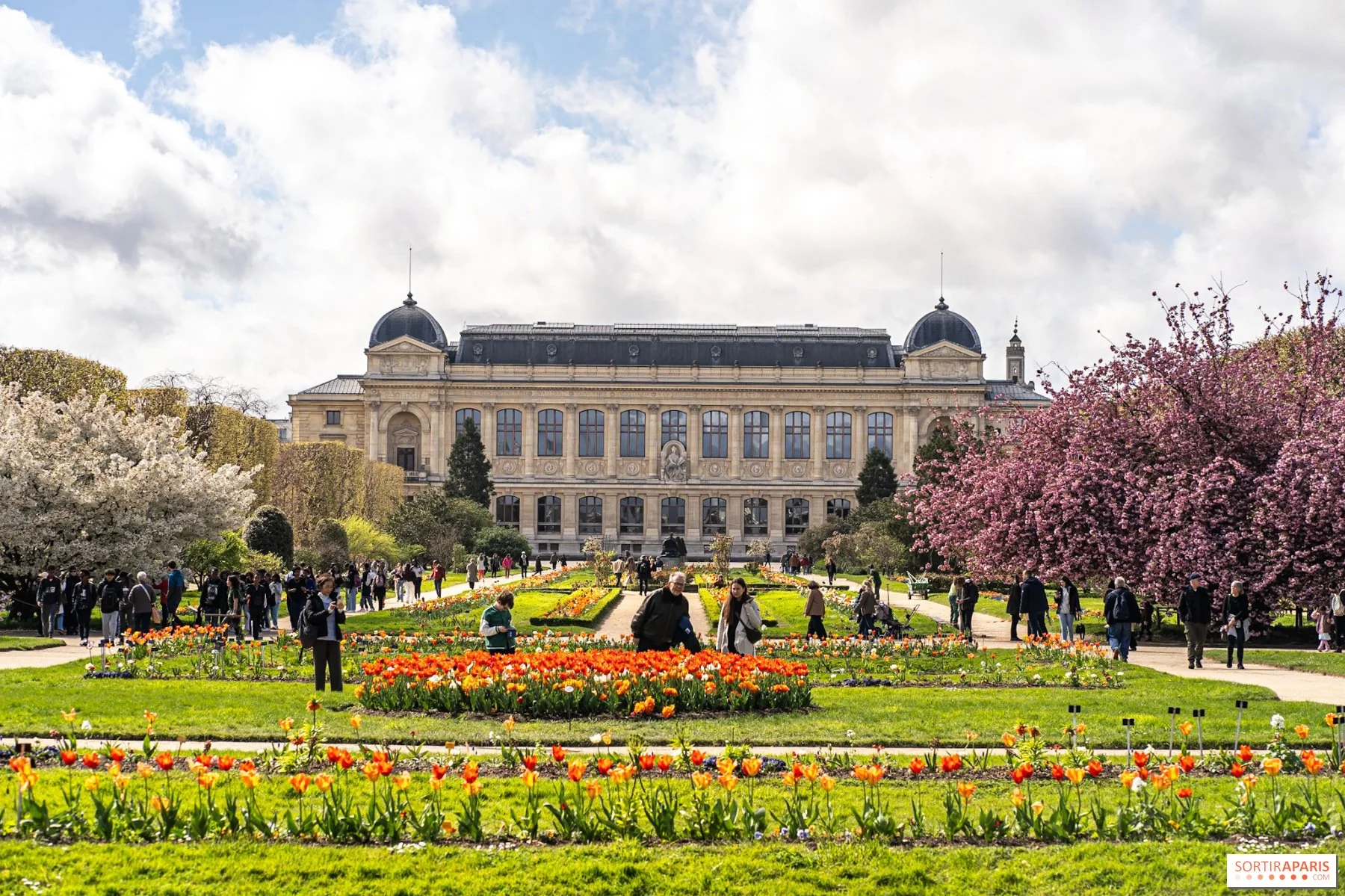 62de34af-0948-437c-8e6d-7bc0a120bff1