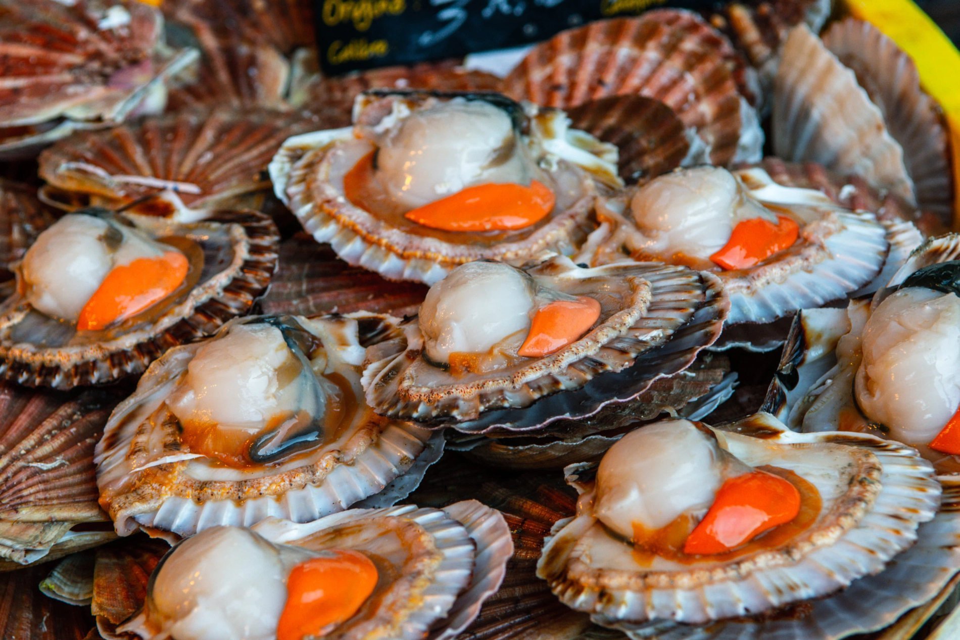 Seine-Maritime : régalez-vous avec notre terroir local 2 grand pavois fecamp terroir local 003