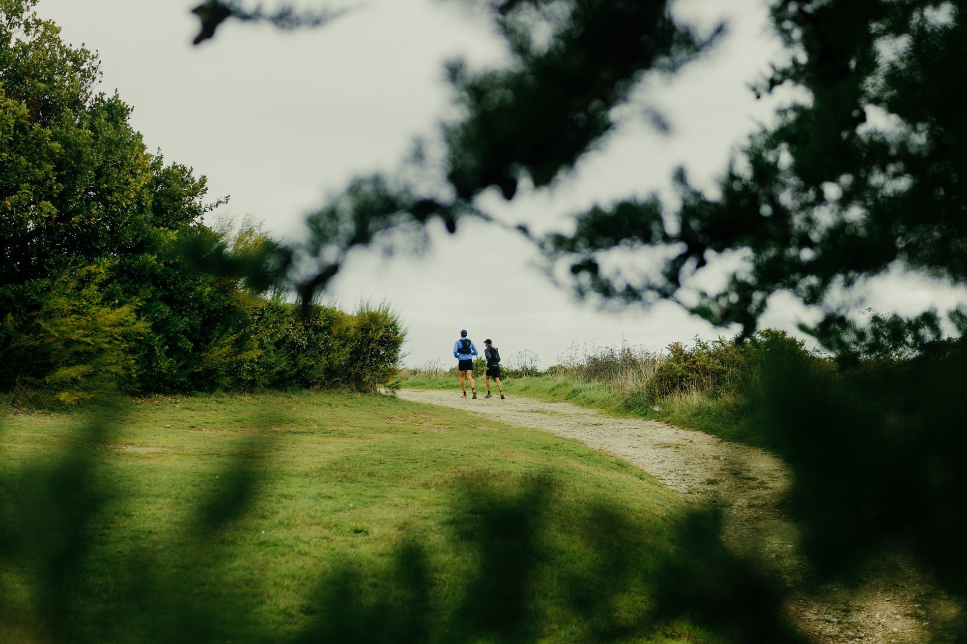 Le Cardinal | Lounge