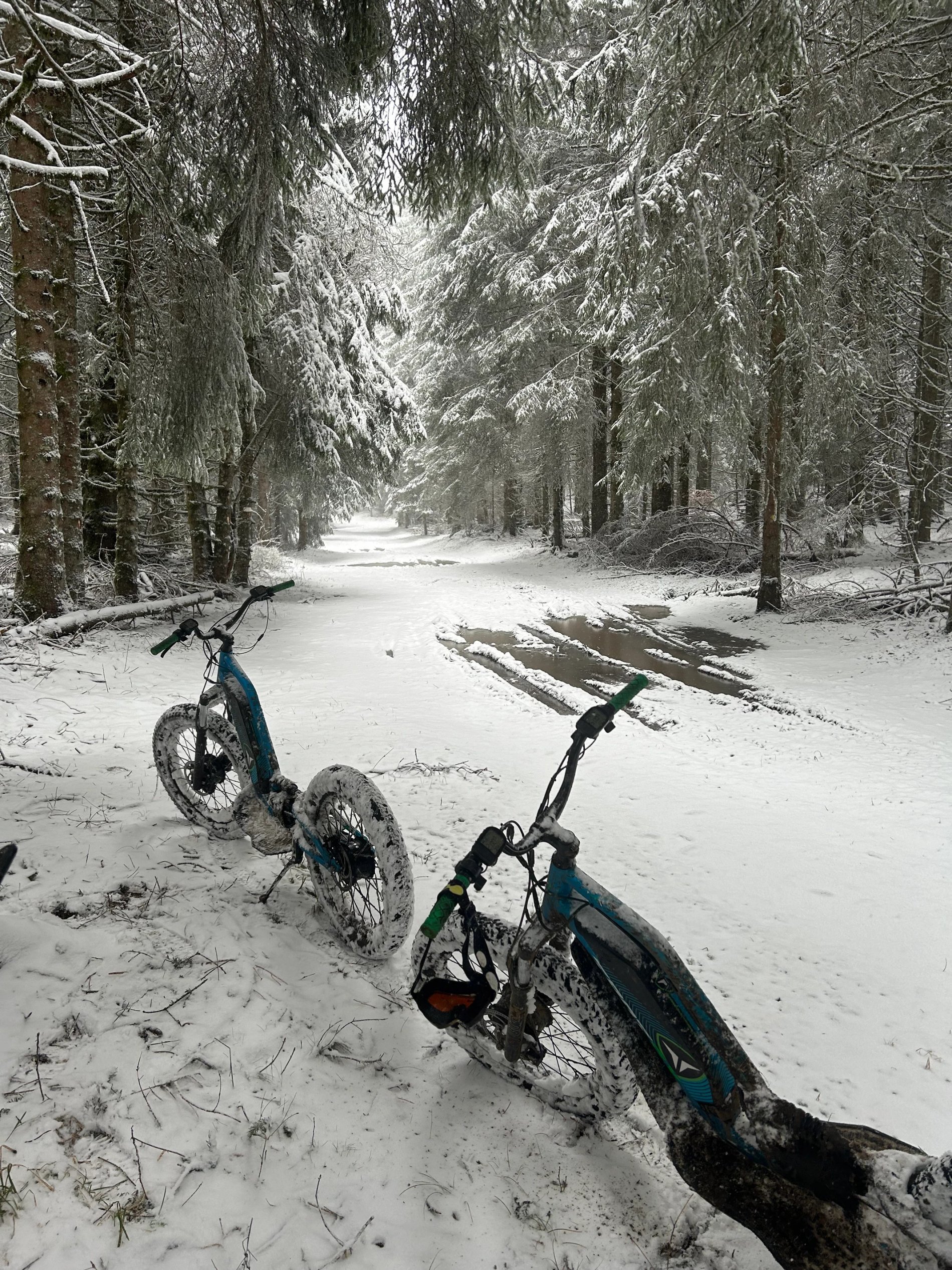 652dfe07-b6db-41f7-a83d-3c01387a68da