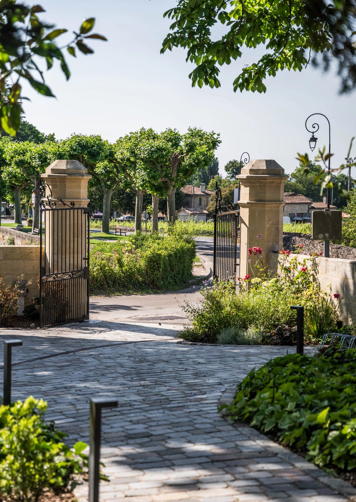 La Villa des Vignes, 