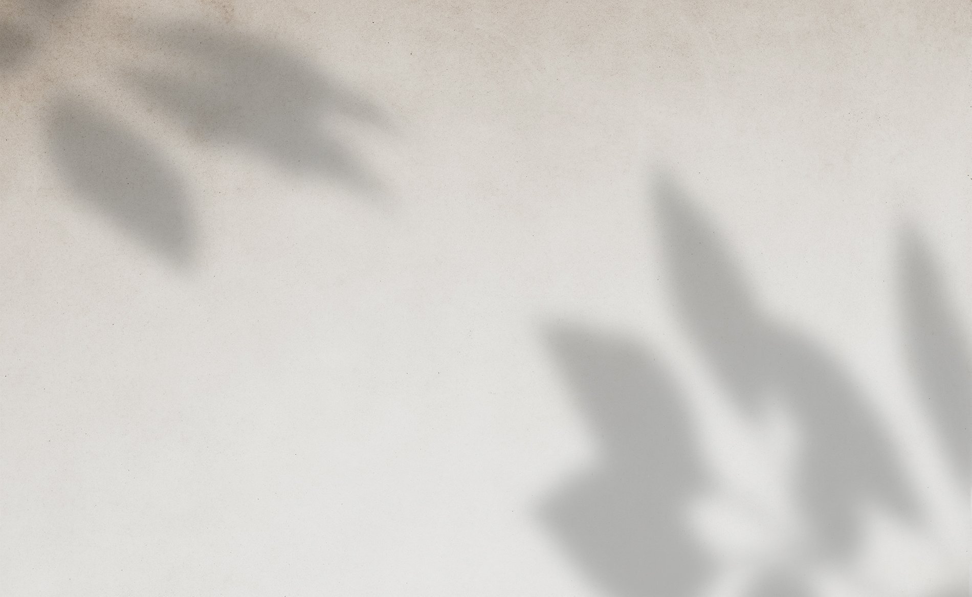 Bar Taulissa: Graphic elements