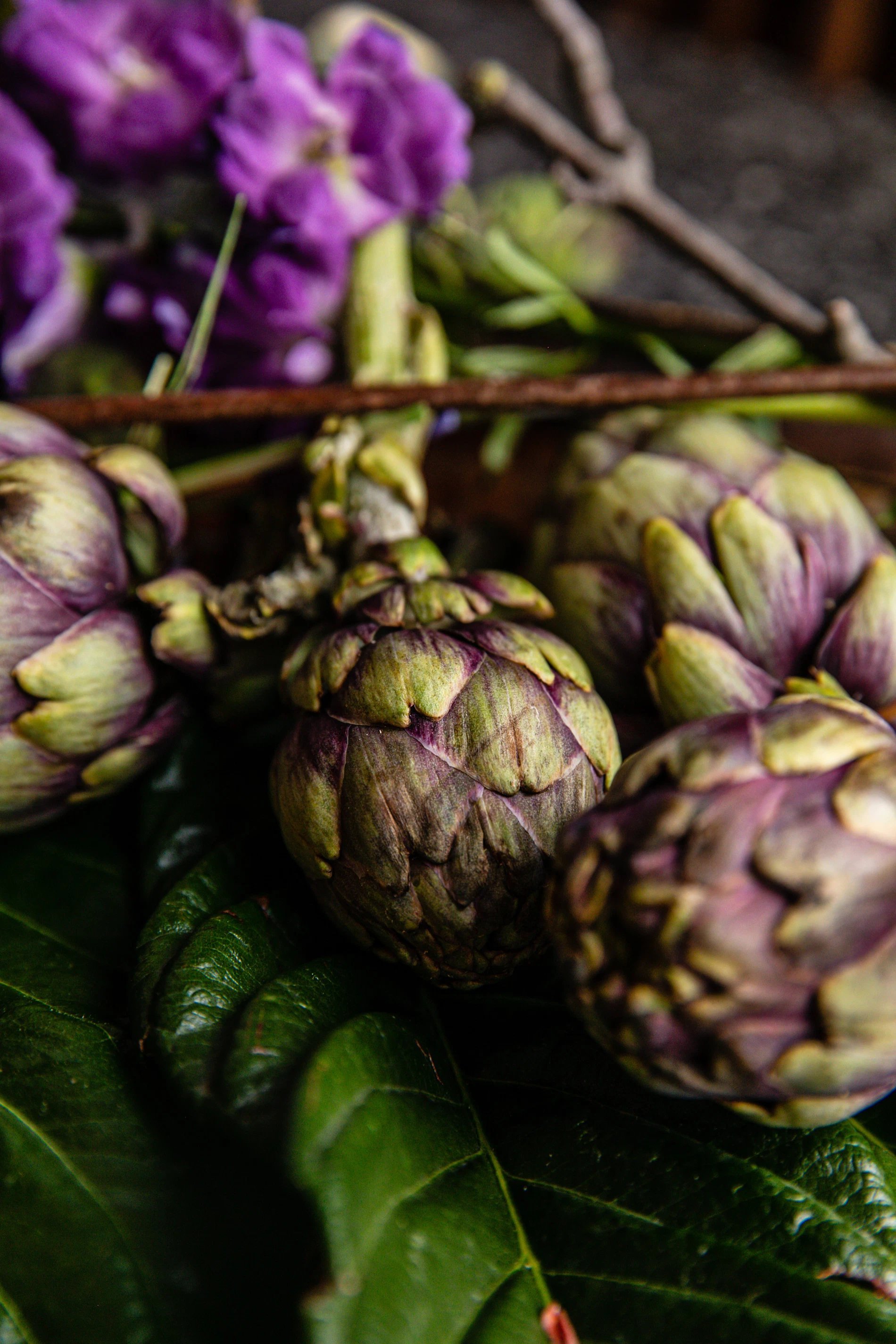 67c7a255-b282-4c4a-a7fe-b02bc169a319