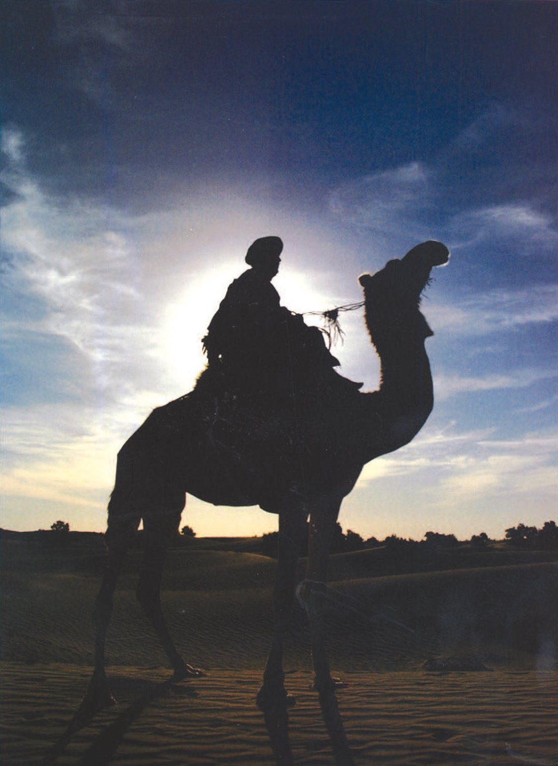 Excursion à dos de chameau dans le désert près du Berbère Palace à Ouarzazate
