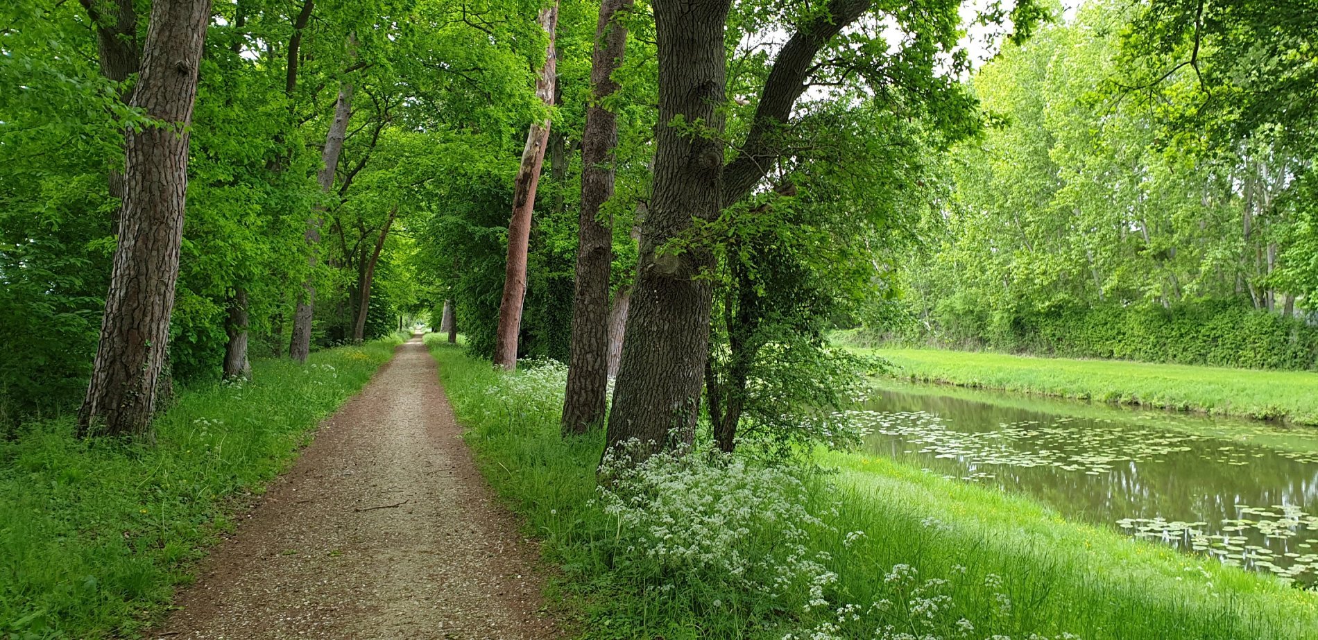 6a069190-cb01-4e28-8c2a-9f8005672d51