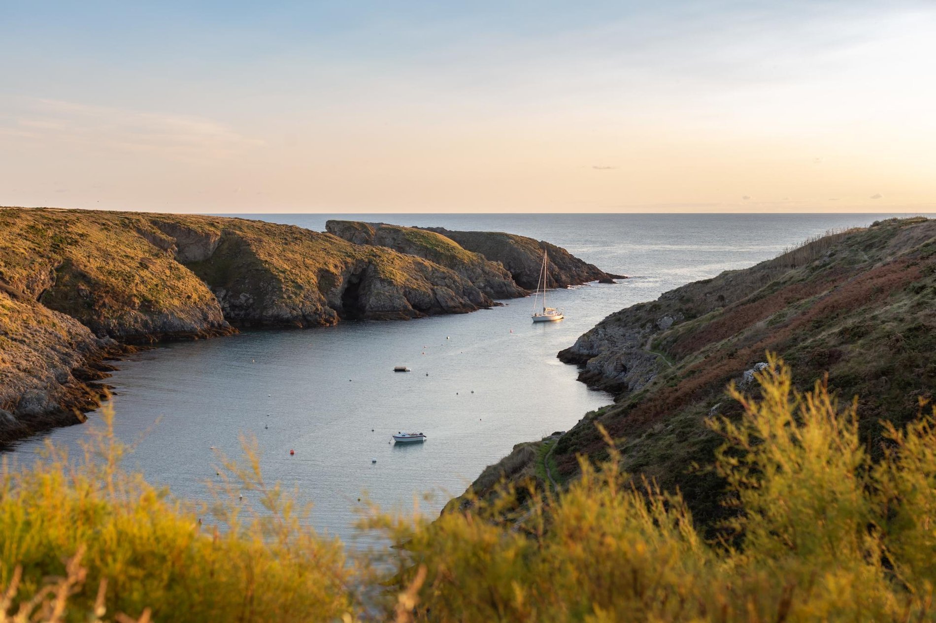 6a271691-9d53-4ba9-a806-5604891c9819