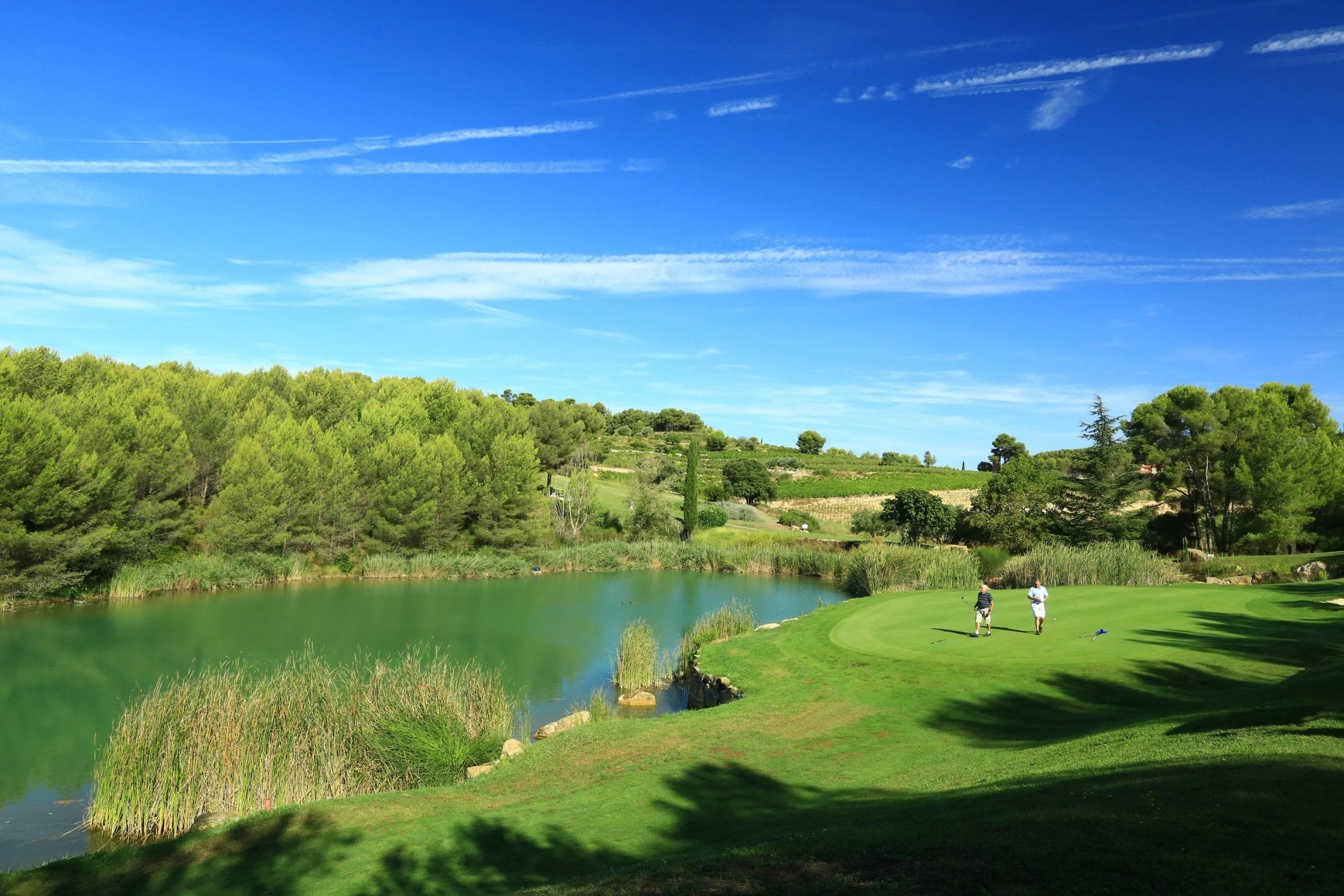 6b5a4e23-ce3a-4d41-ba8e-0ce5c5628246