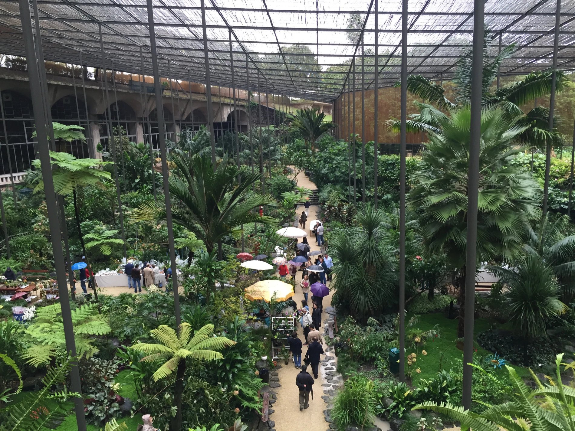 Serres Froides de Lisbonne 9 hotel Lisbonne