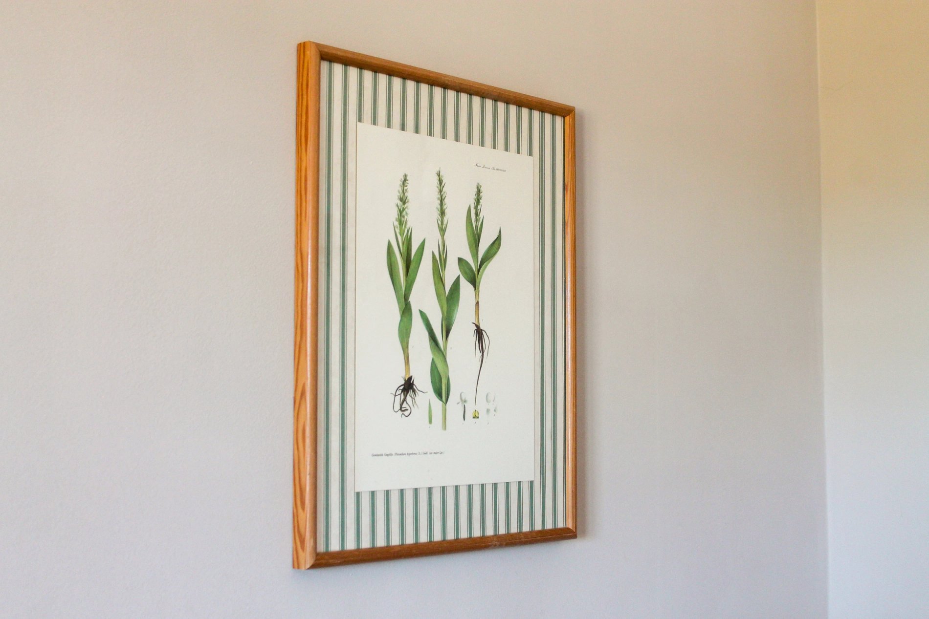 Maison Berard Cadiere d'Azur