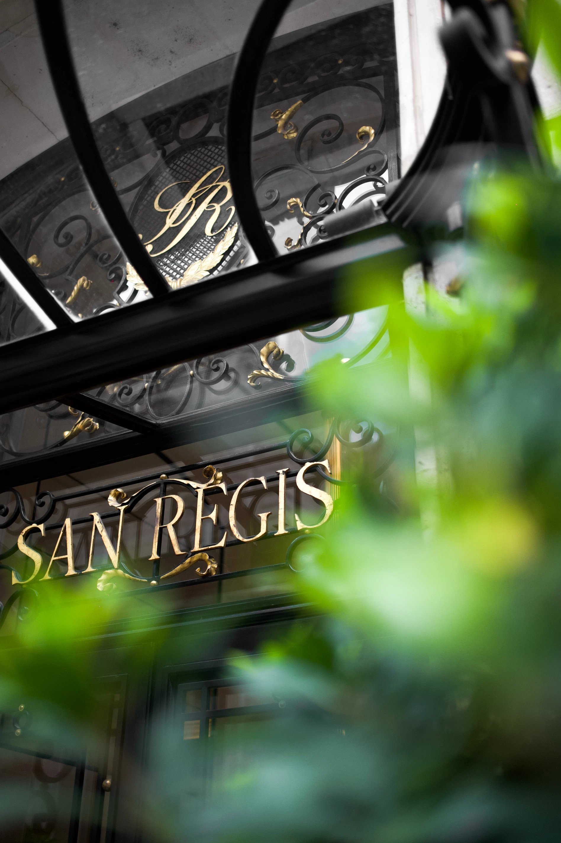 6c39cb10-2c6b-4055-9aa4-ce65b6025a1c