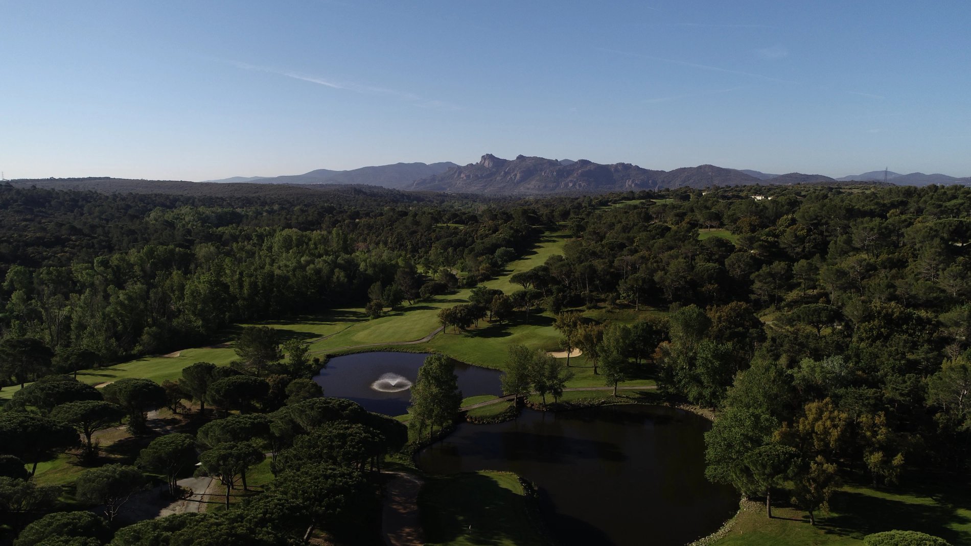 6cc3e0f2-89ed-4c73-97dd-7e6feeb49388