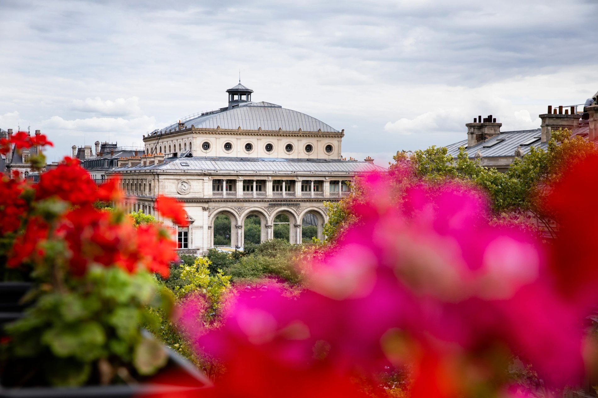 6d4c608f-88cd-47c0-81d8-0fb0c224cd8c