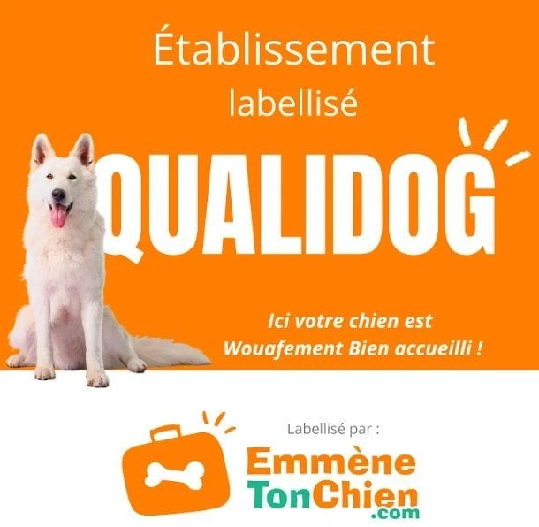 6d8cb7d4-5024-4aa4-9cea-9740a17e1b3c