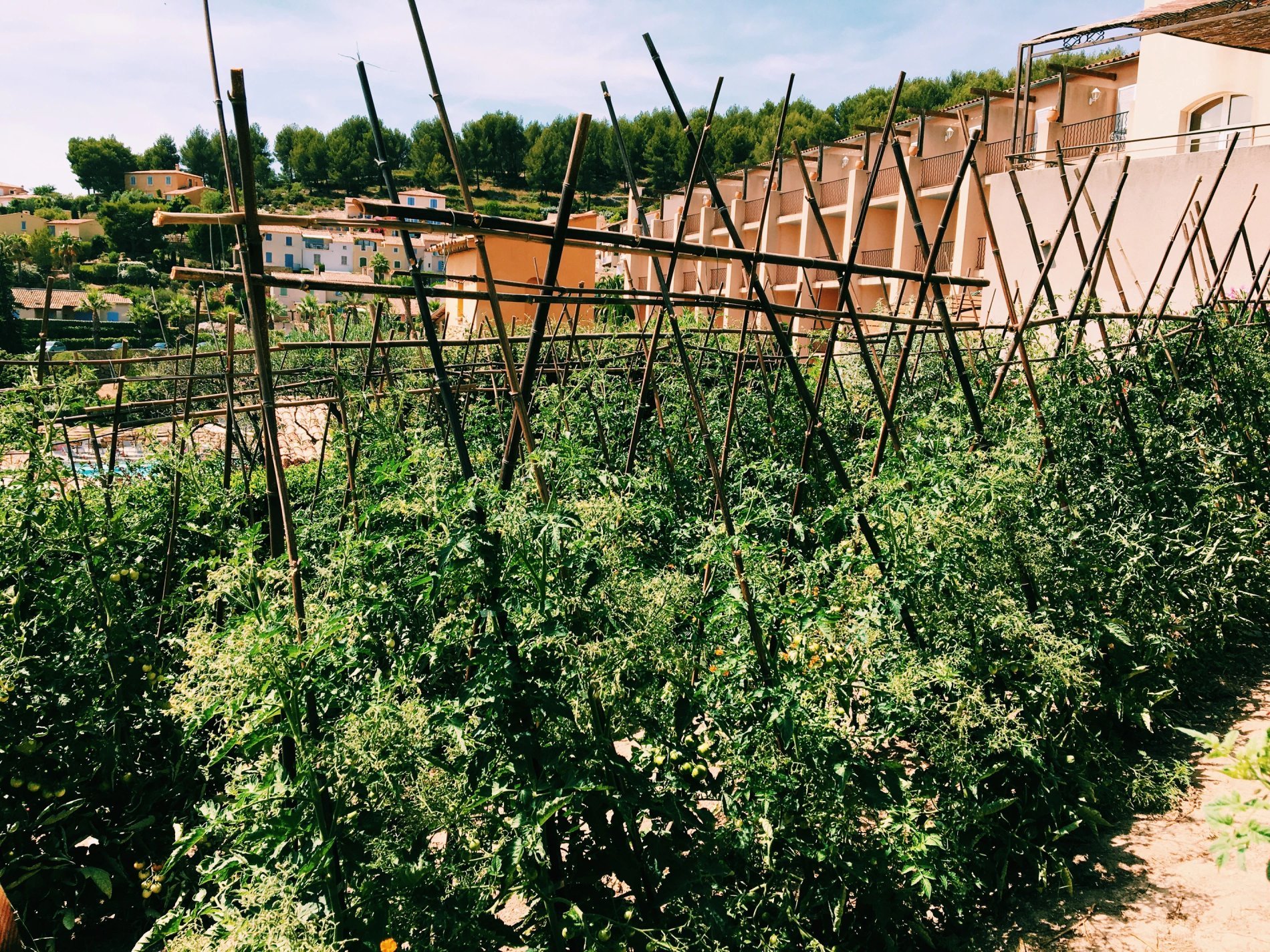 6dbbf631-2070-4f62-a0ca-d822c8f2d687