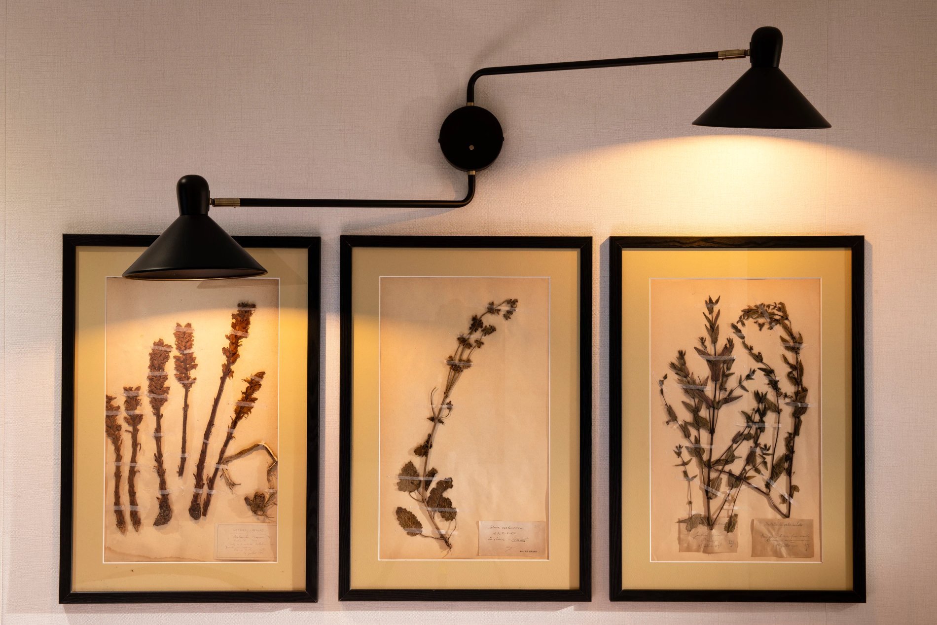 Hotel Maxim Quartier Latin Room