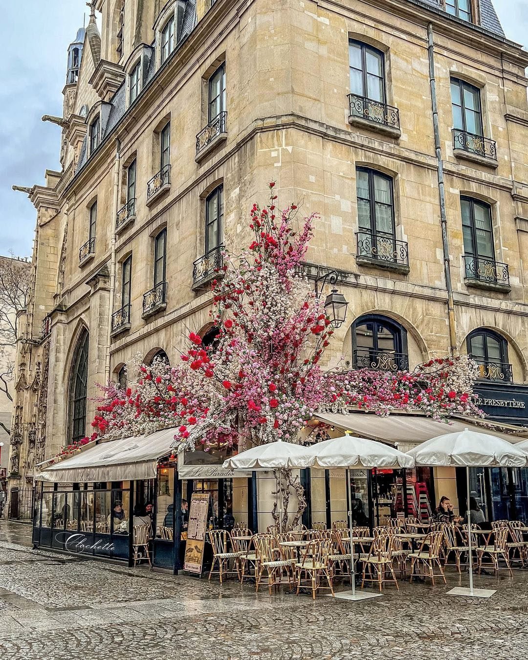 Hôtel de Charme Paris Centre - Hôtel Le Presbytère