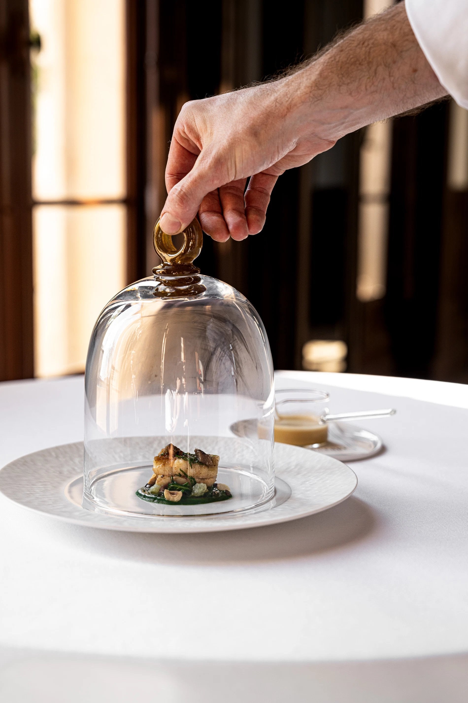 6f1d1d02-0071-4d5b-8fa9-3056c89c61b3