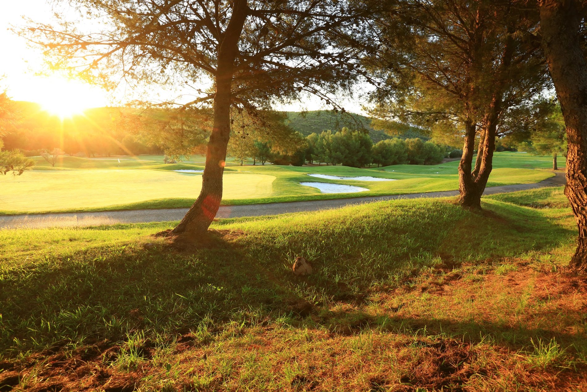 70414d26-1bf3-4090-8657-62be741aa6fd