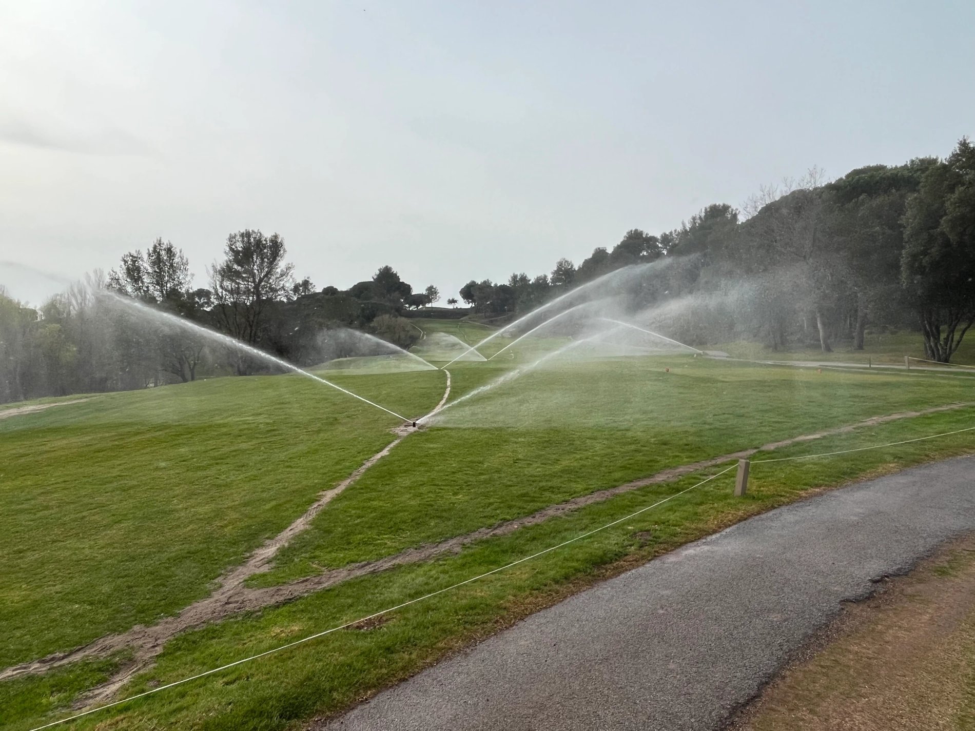 7089e95d-125b-47ff-9a66-7f2b4e2e90b7