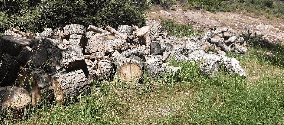 70bbf19b-fe2d-4149-a6bf-a5ab9fa93546