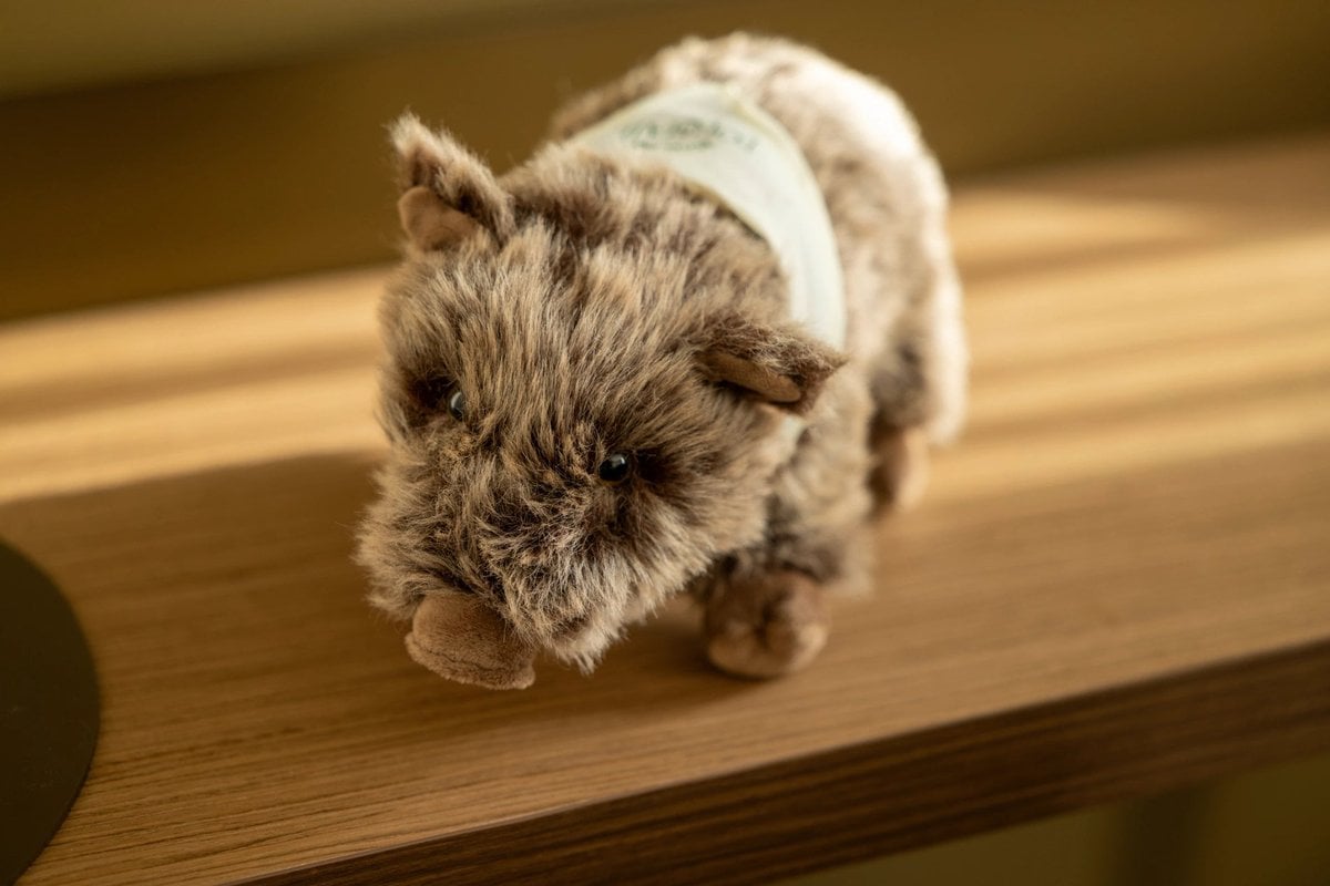 Hôtel L'Ormaie, Hôtel L'Ormaie Enfants Peluche