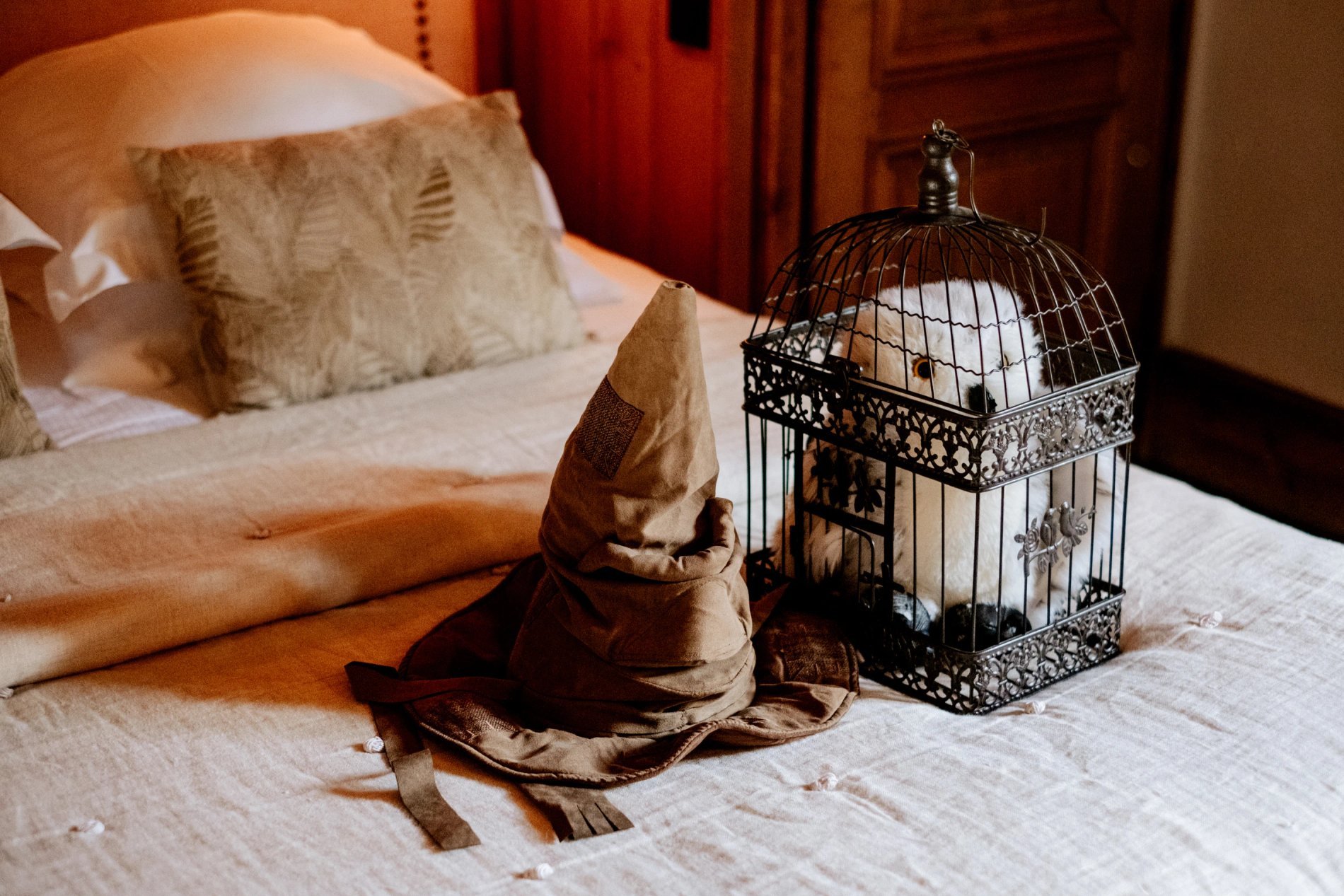 71a213f2-b4e2-4005-ad05-84ed0df6aa28