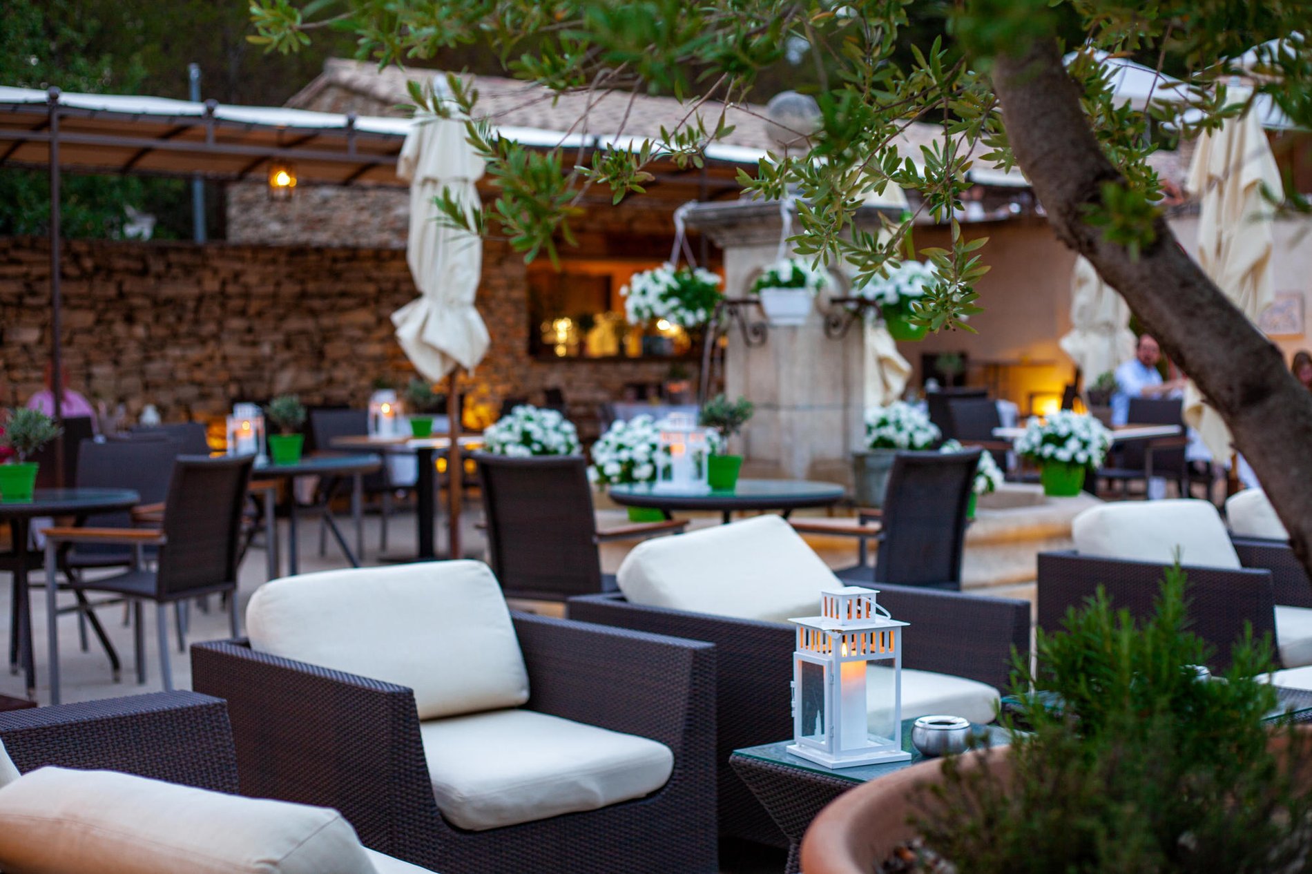 Le Phébus | Bistrot