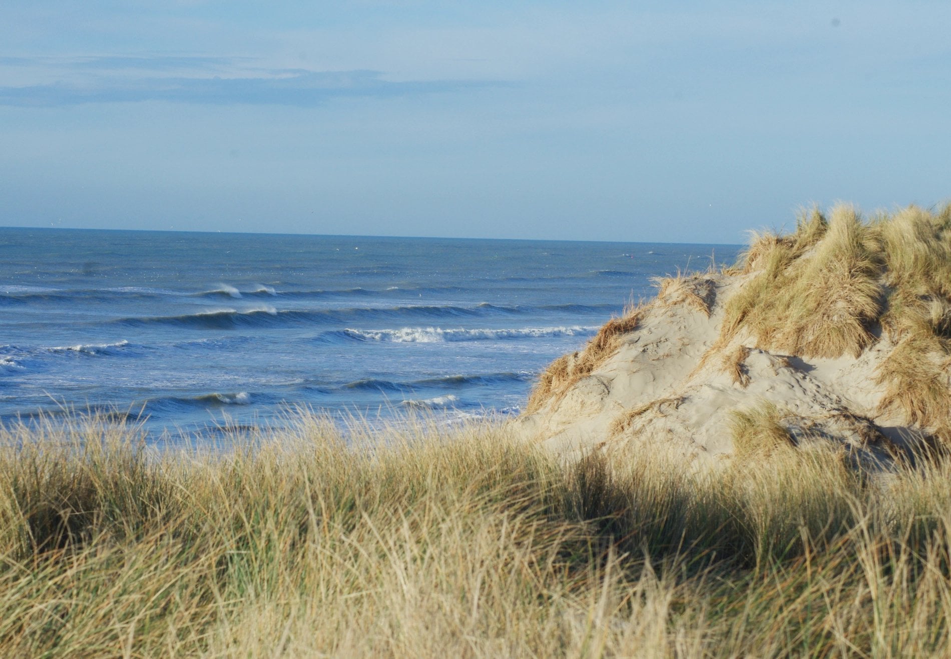 72a51209-8bb2-4a0d-8062-01703f795fb2