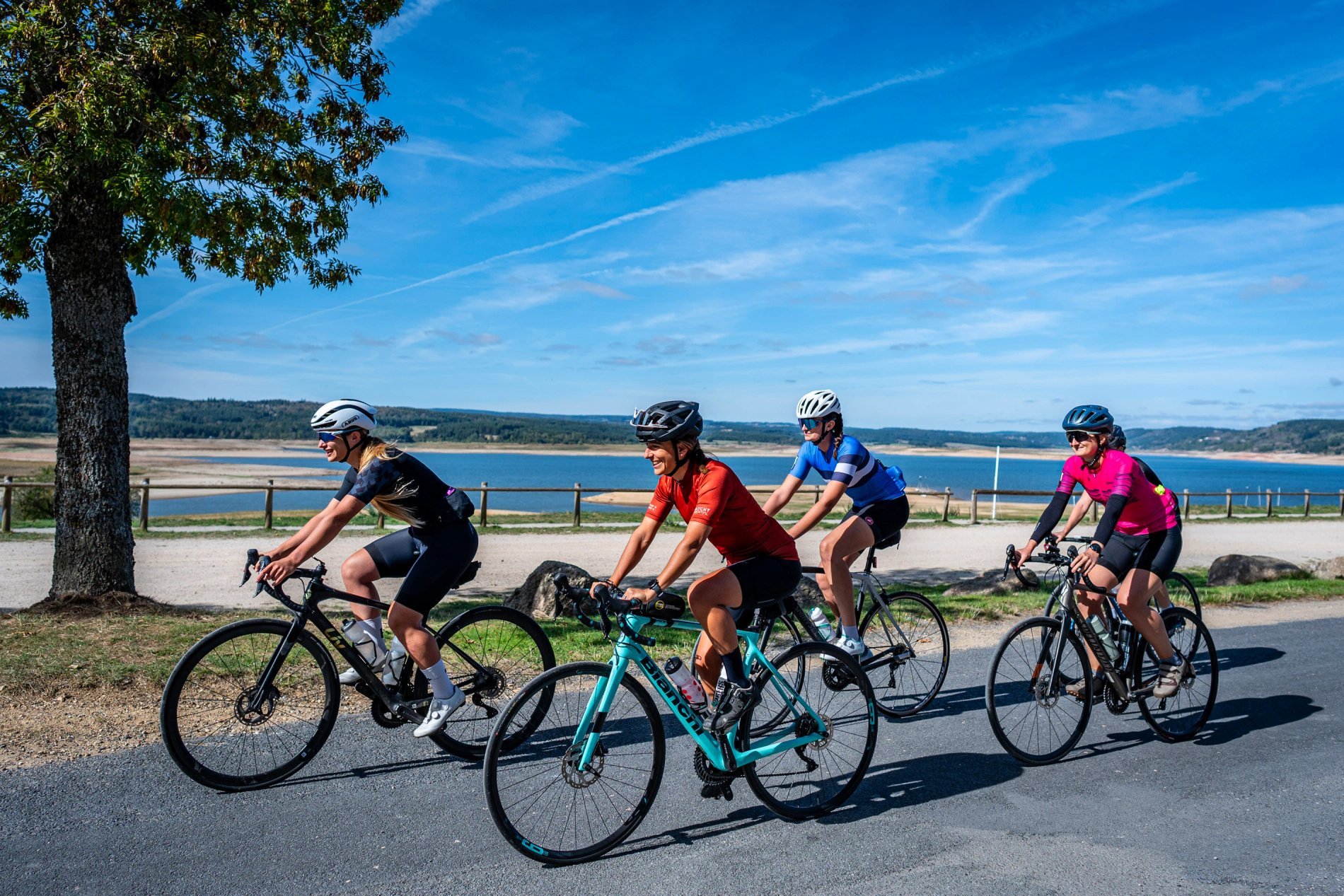 72a7c788-0d36-4d46-bb44-f9ab9e6c429b