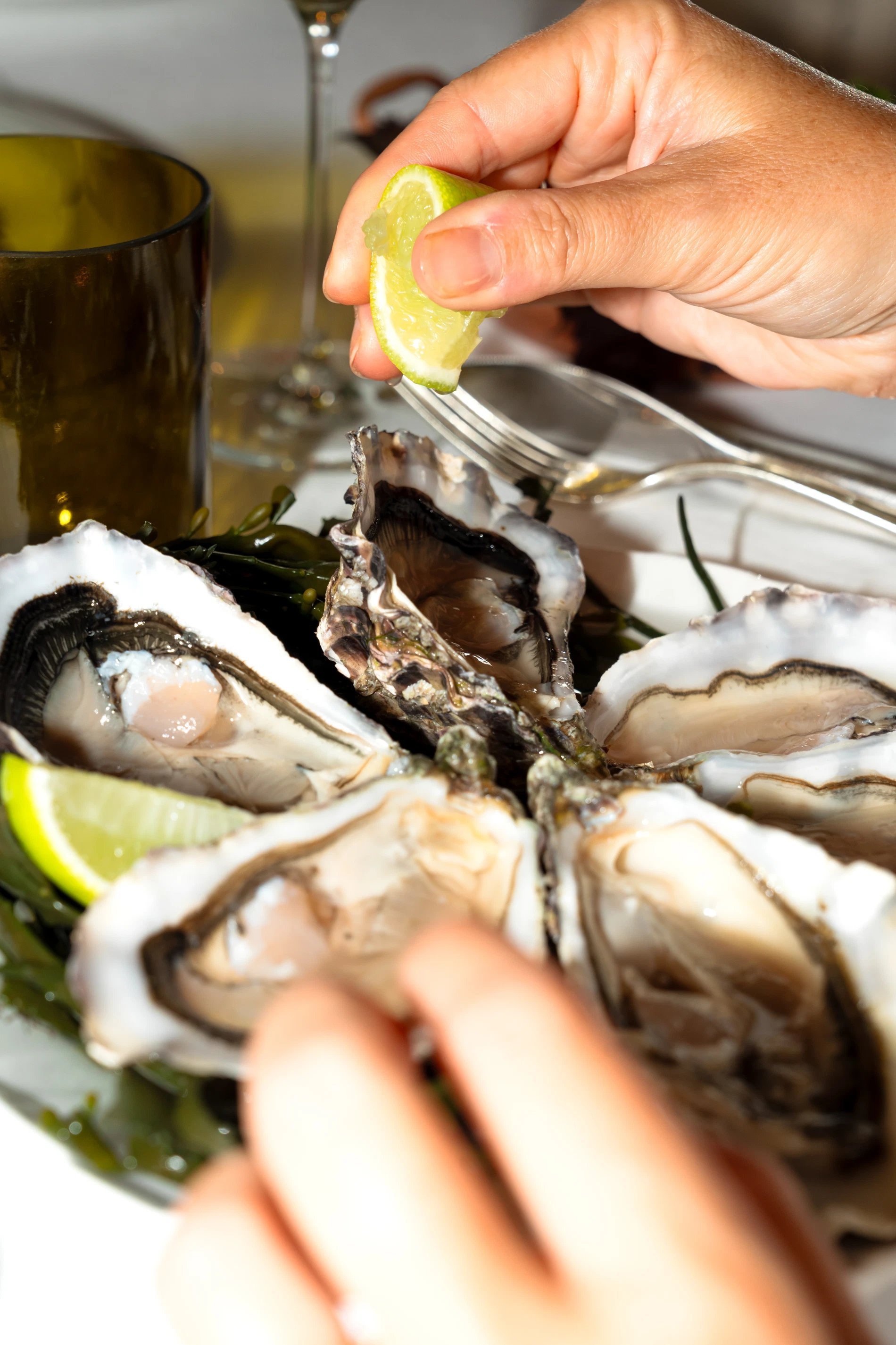 730c9473-8259-470f-9ba4-76f9ce1858ff