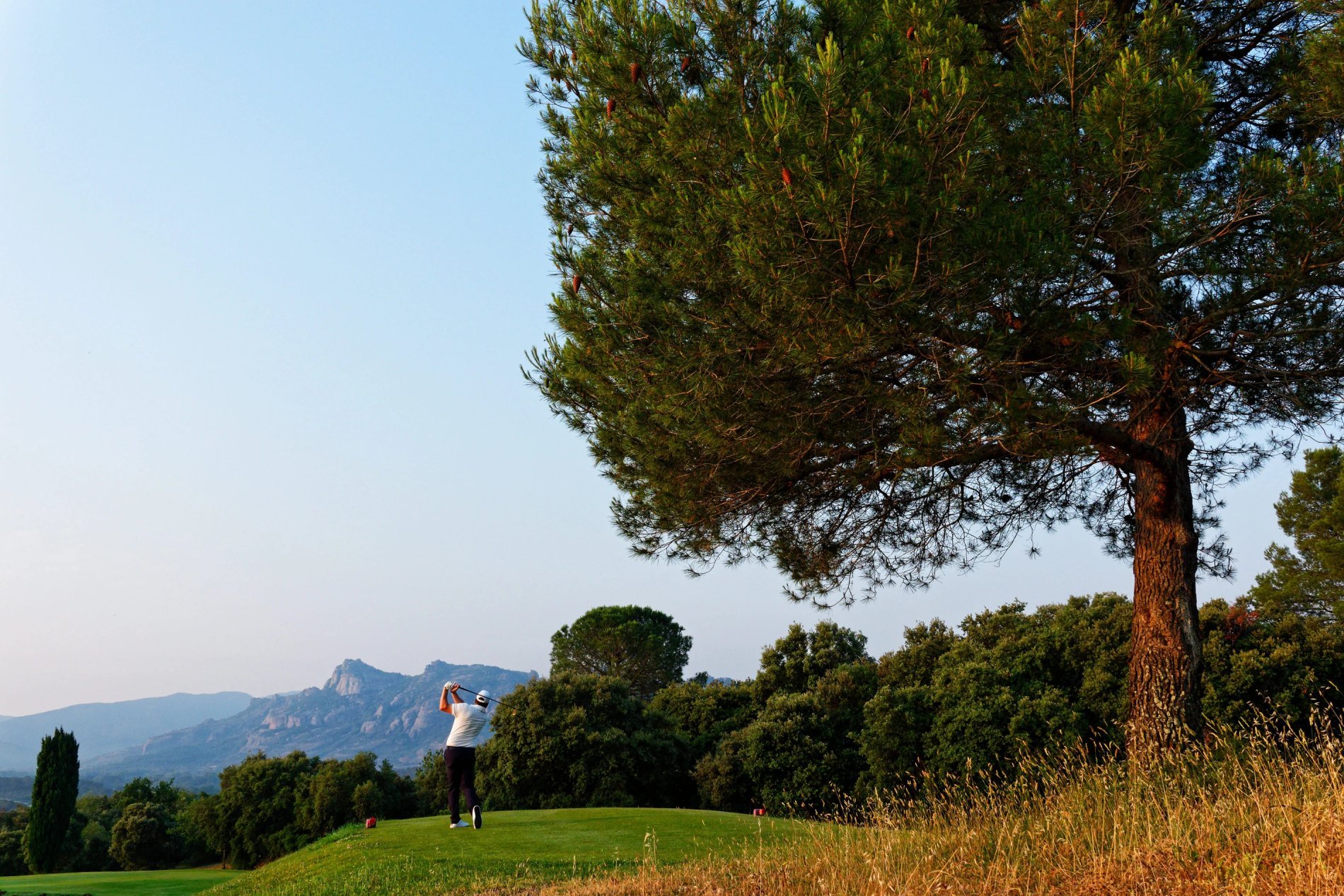 7333278e-33fb-4a5a-88ec-d73480812f76