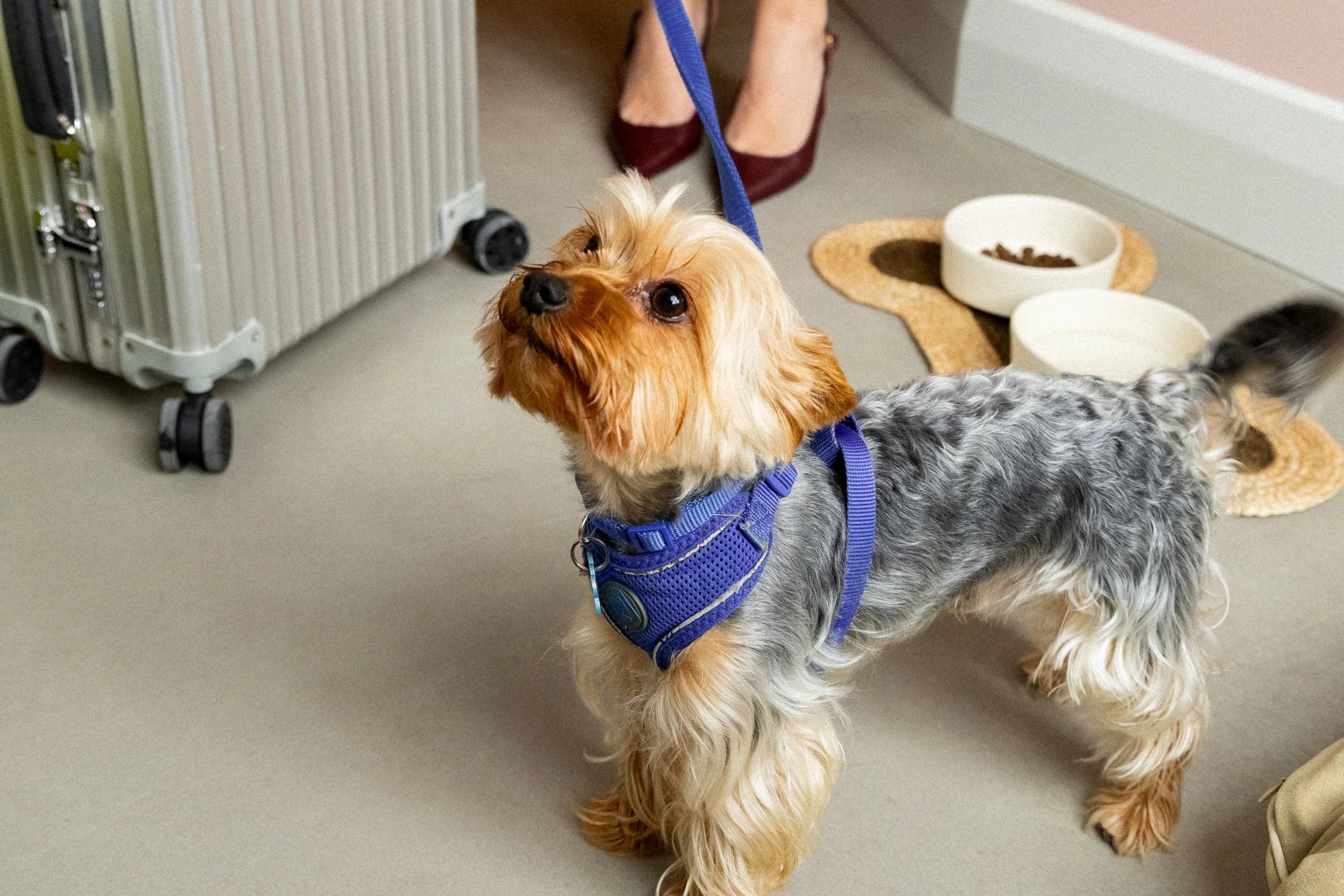 737a59ee-a41a-4ecd-8720-f71081990c0b