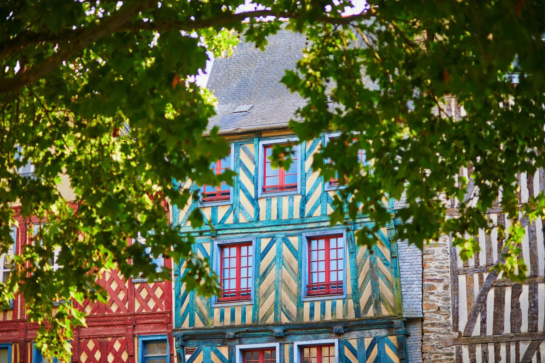 Colourful timber-framed houses in the historic centre of Rennes, framed by lush green trees.