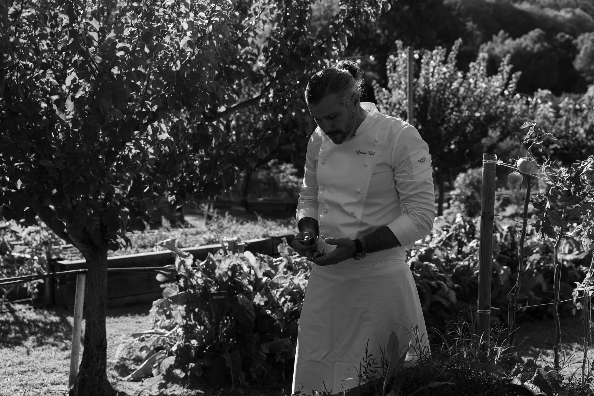 Chef Glenn Viel dans le potager pour le Café Victoria