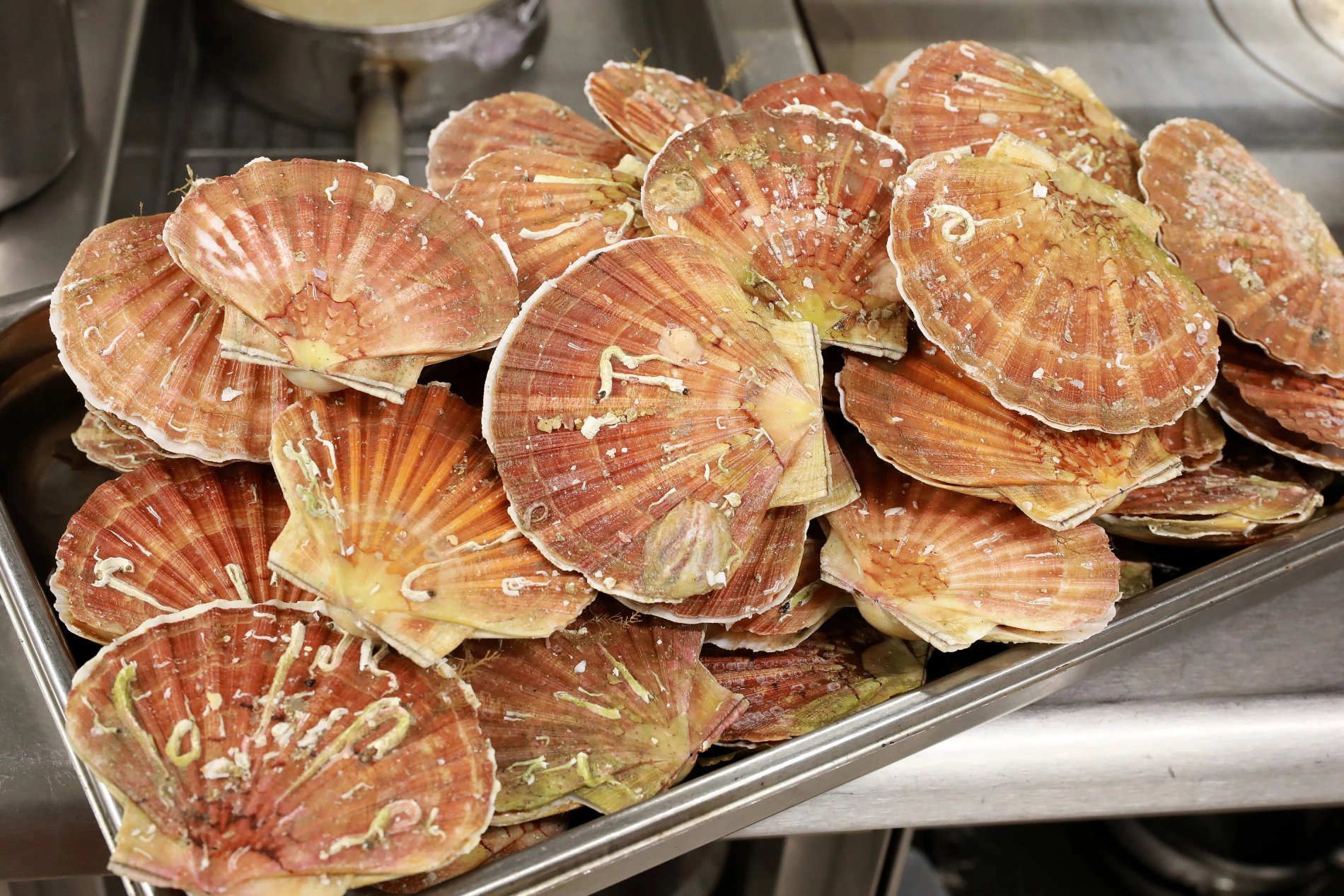 Seine-Maritime : régalez-vous avec notre terroir local 3 grand pavois fecamp terroir local 002