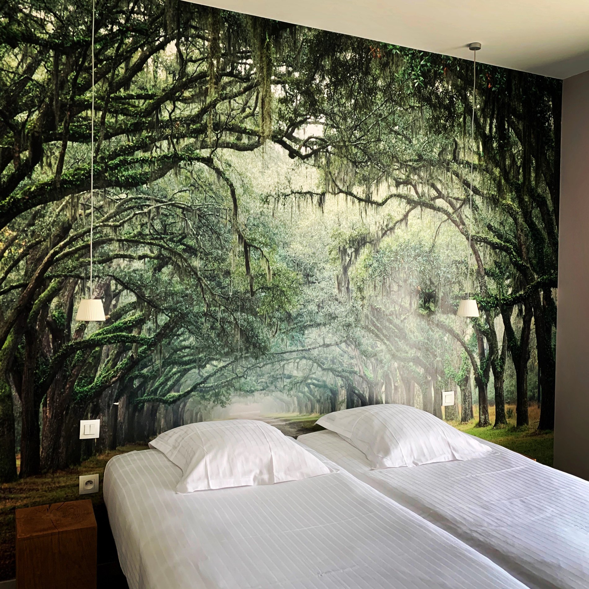 76b6a24d-1c56-4034-82aa-11b2337f08e2