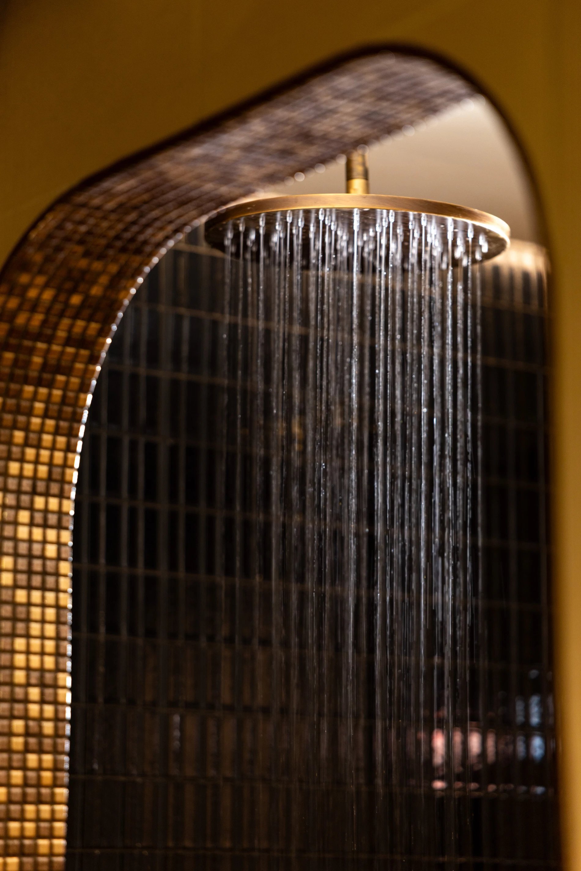 Hôtel Aoriste Spa Douche