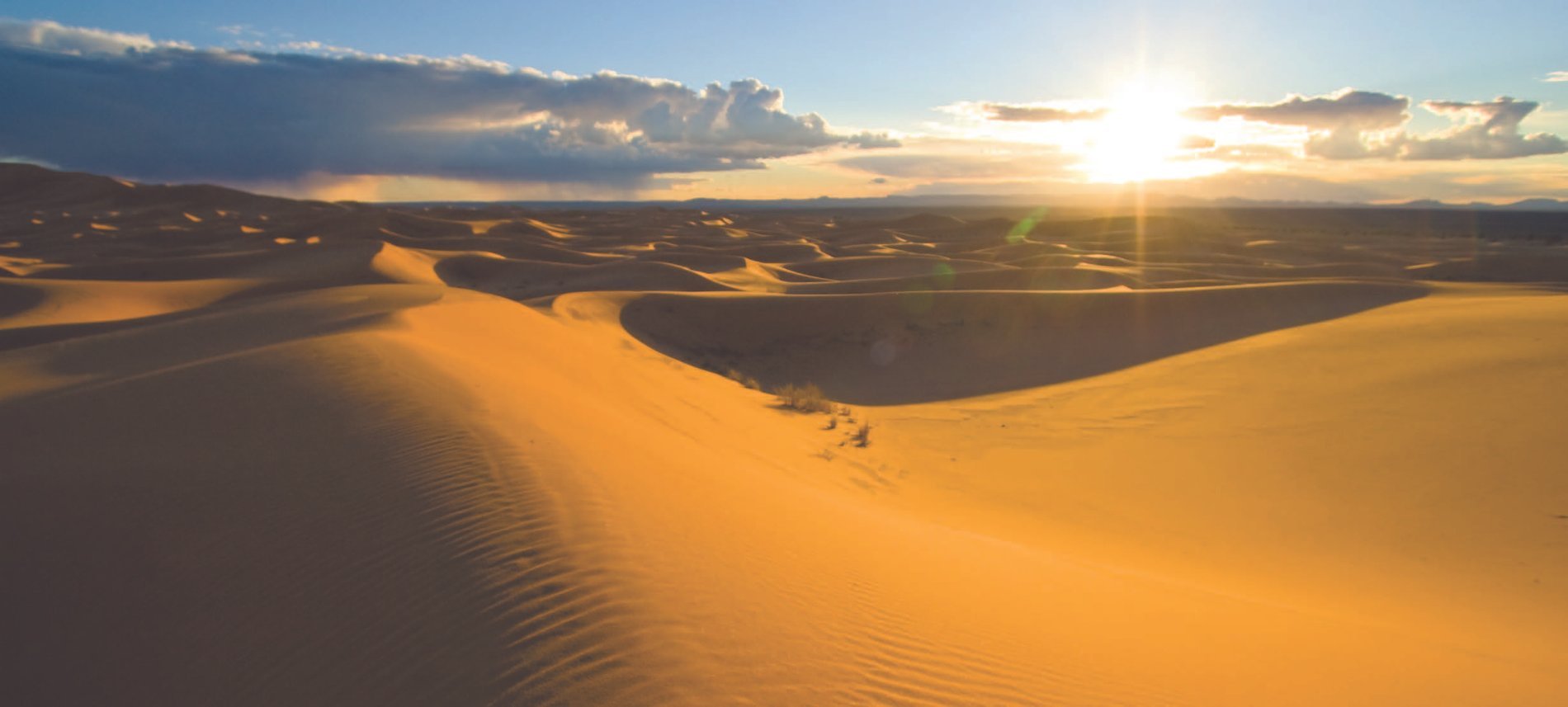 Dunes dorées du désert marocain au coucher du soleil près du Berbère Palace