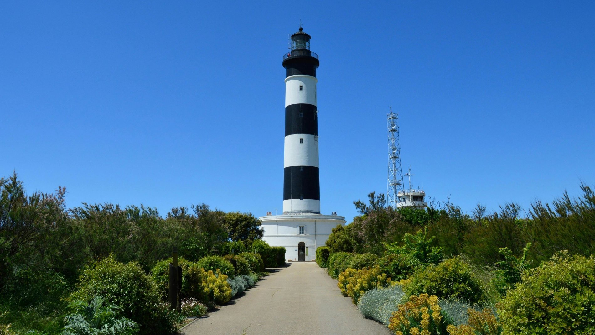 78eb1d4a-fab1-4beb-aa81-7aaf9086f1f7