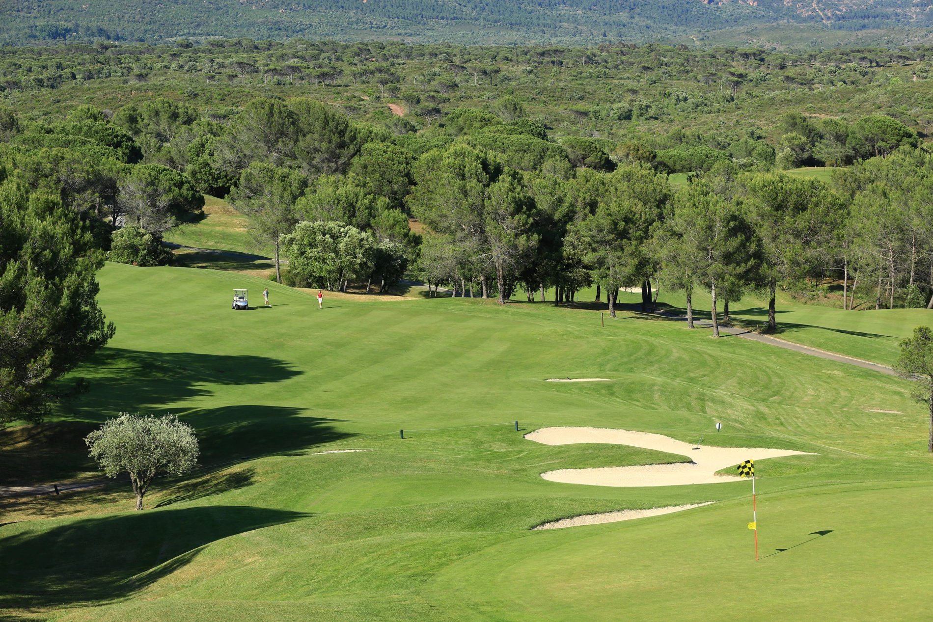 7908cee3-2deb-4347-a908-b33255d29c42