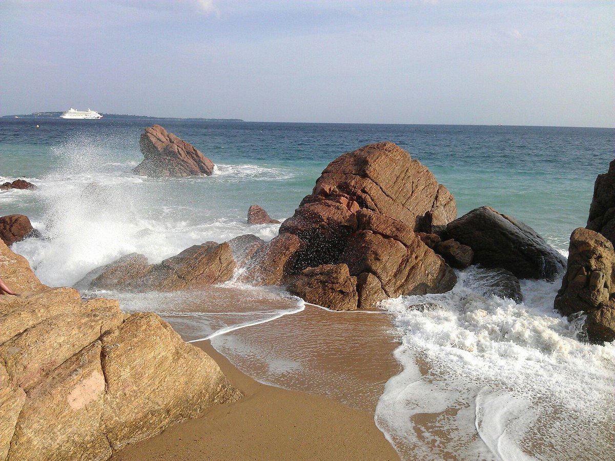 7a72aa39-ff30-4fa6-bf1d-c0ca744e104c