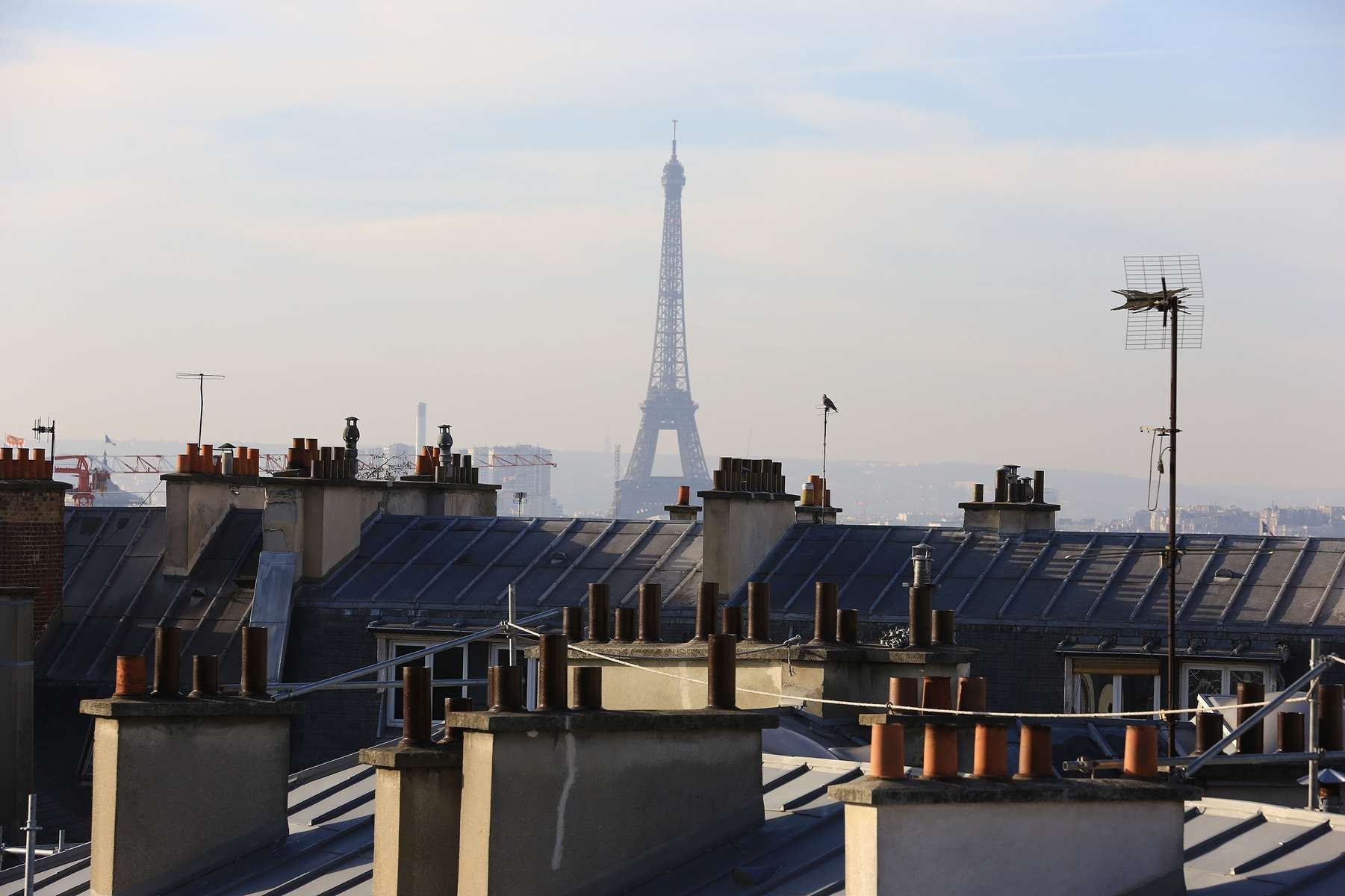 Hôtels de charme Paris Centre - Les Hôtels Saint-Louis
