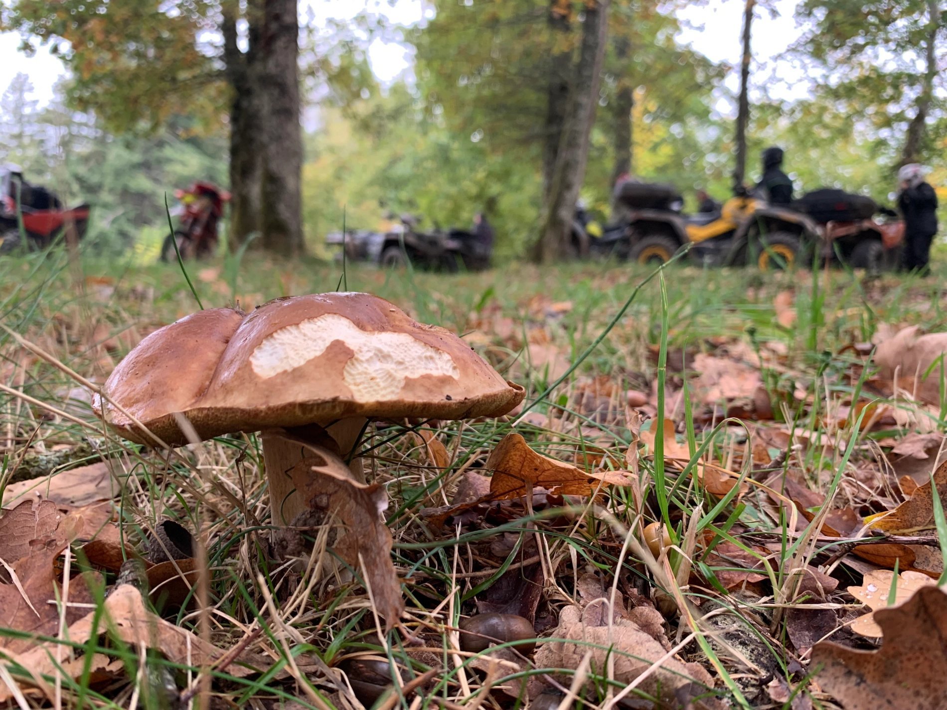 7bb81a79-bf23-4f5d-819b-fa12ffe1d454