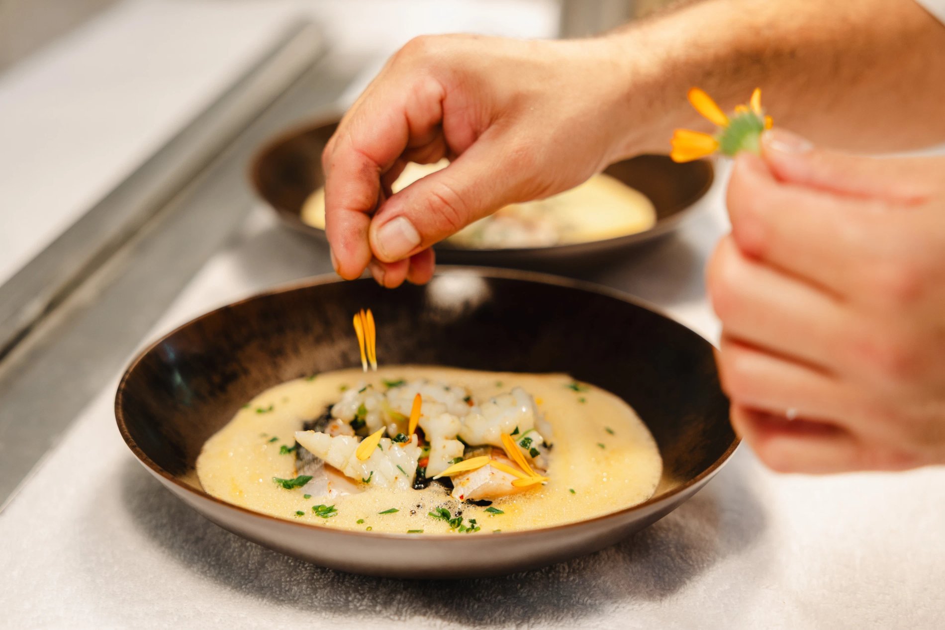 7c291809-0f76-4fd5-a51c-7ae6e8d45487