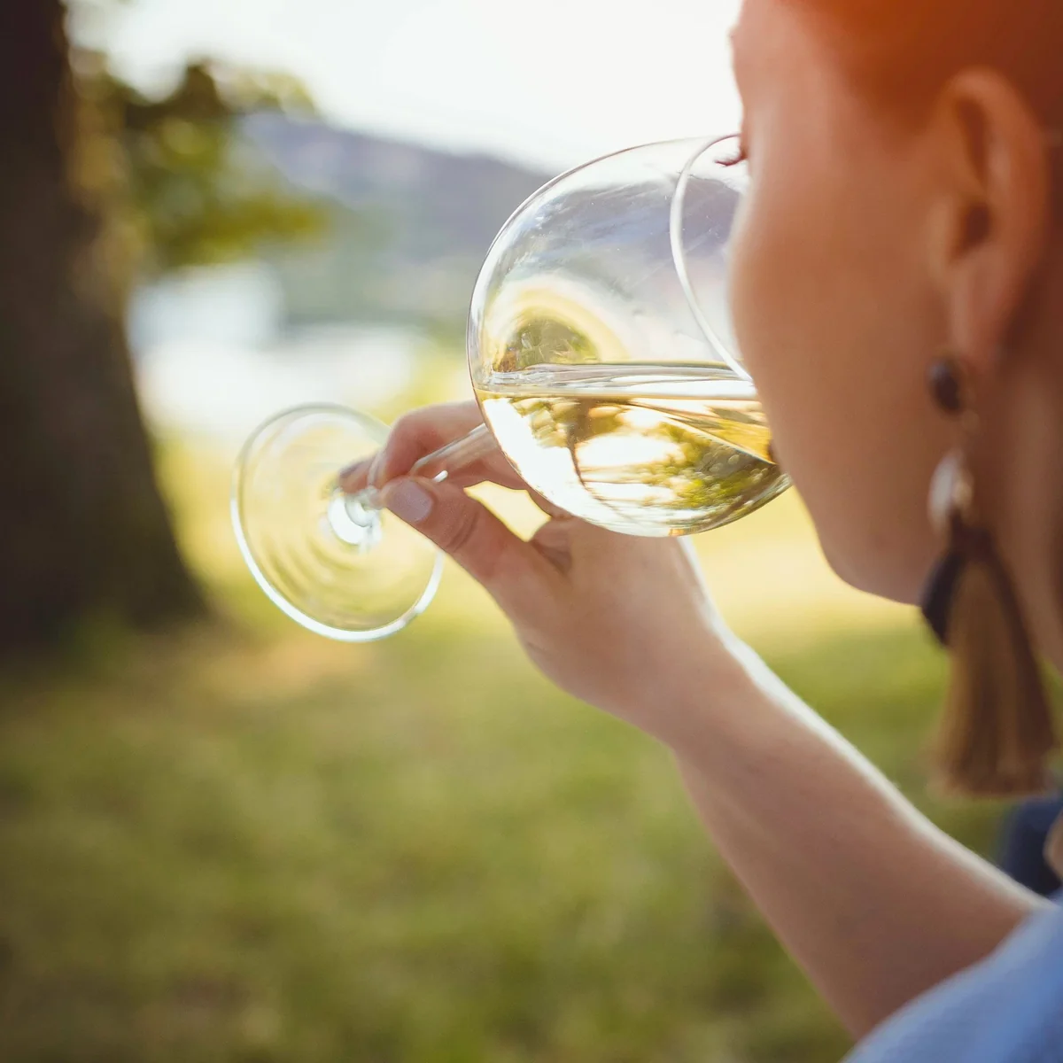 Maison Albar - Le Victoria, Maison Albar Le Victoria | Vins de Provence