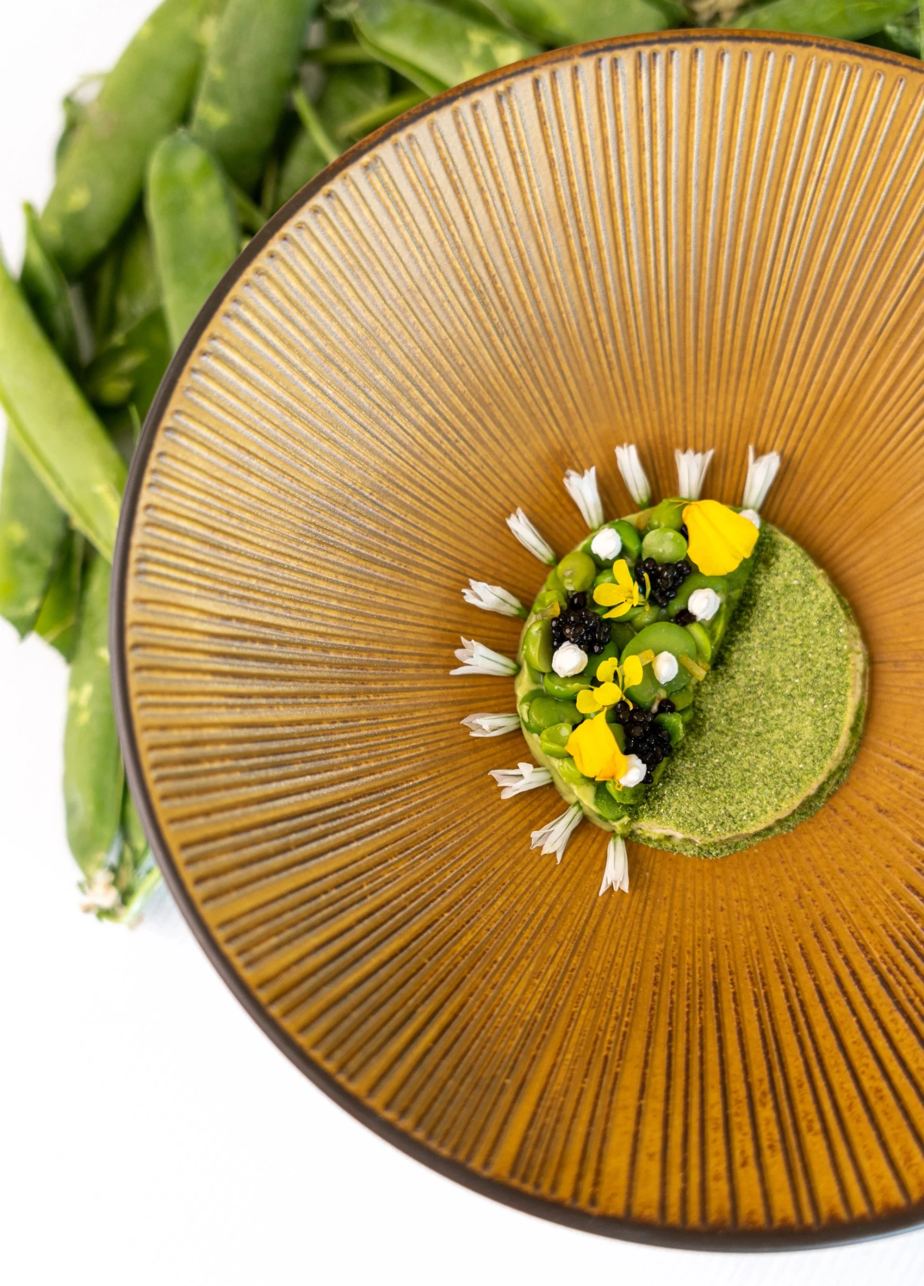 7d7ce1fc-847f-4f16-8feb-ef2428f39e05